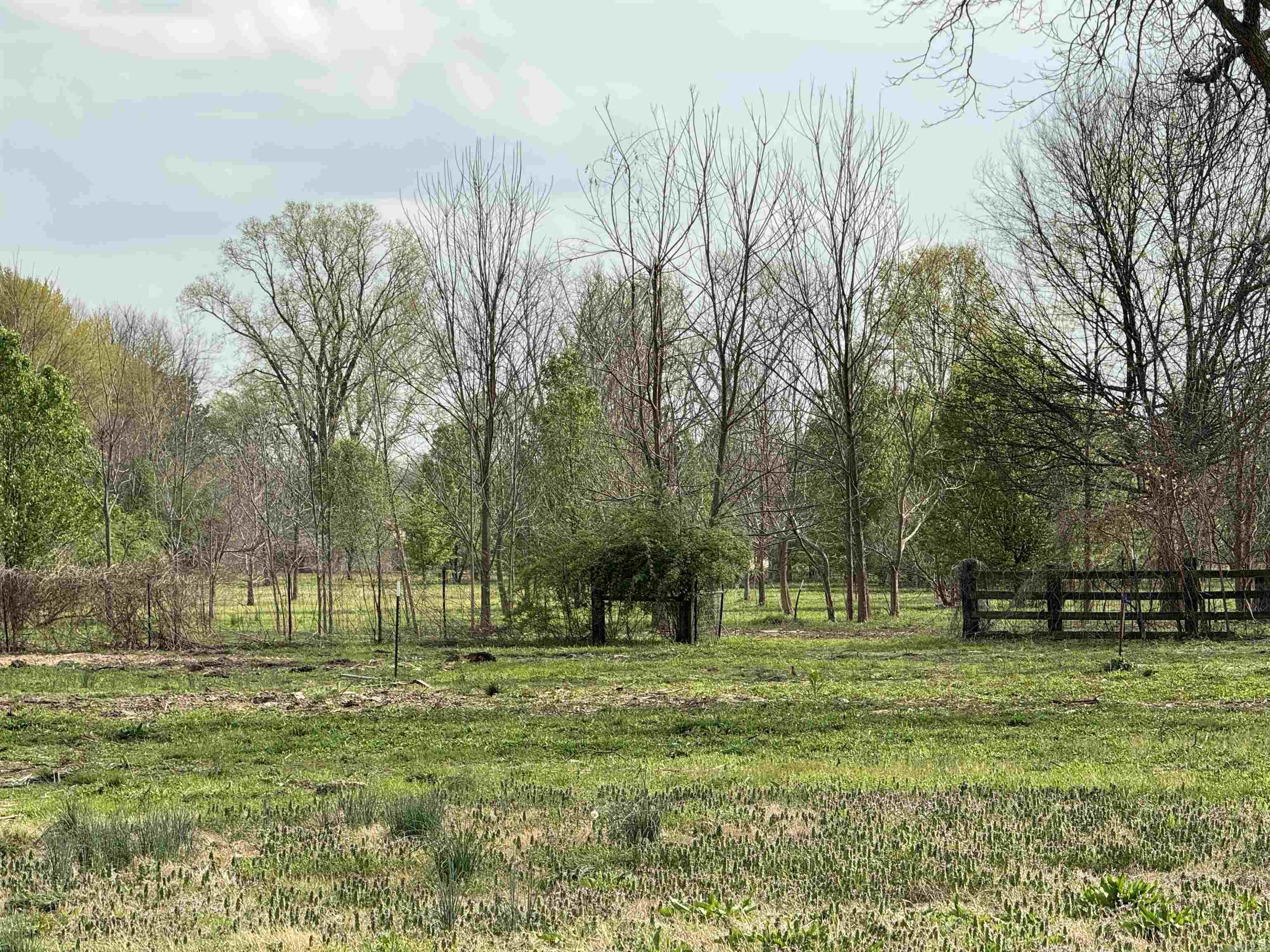 SCOTT PLANTATION - Residential