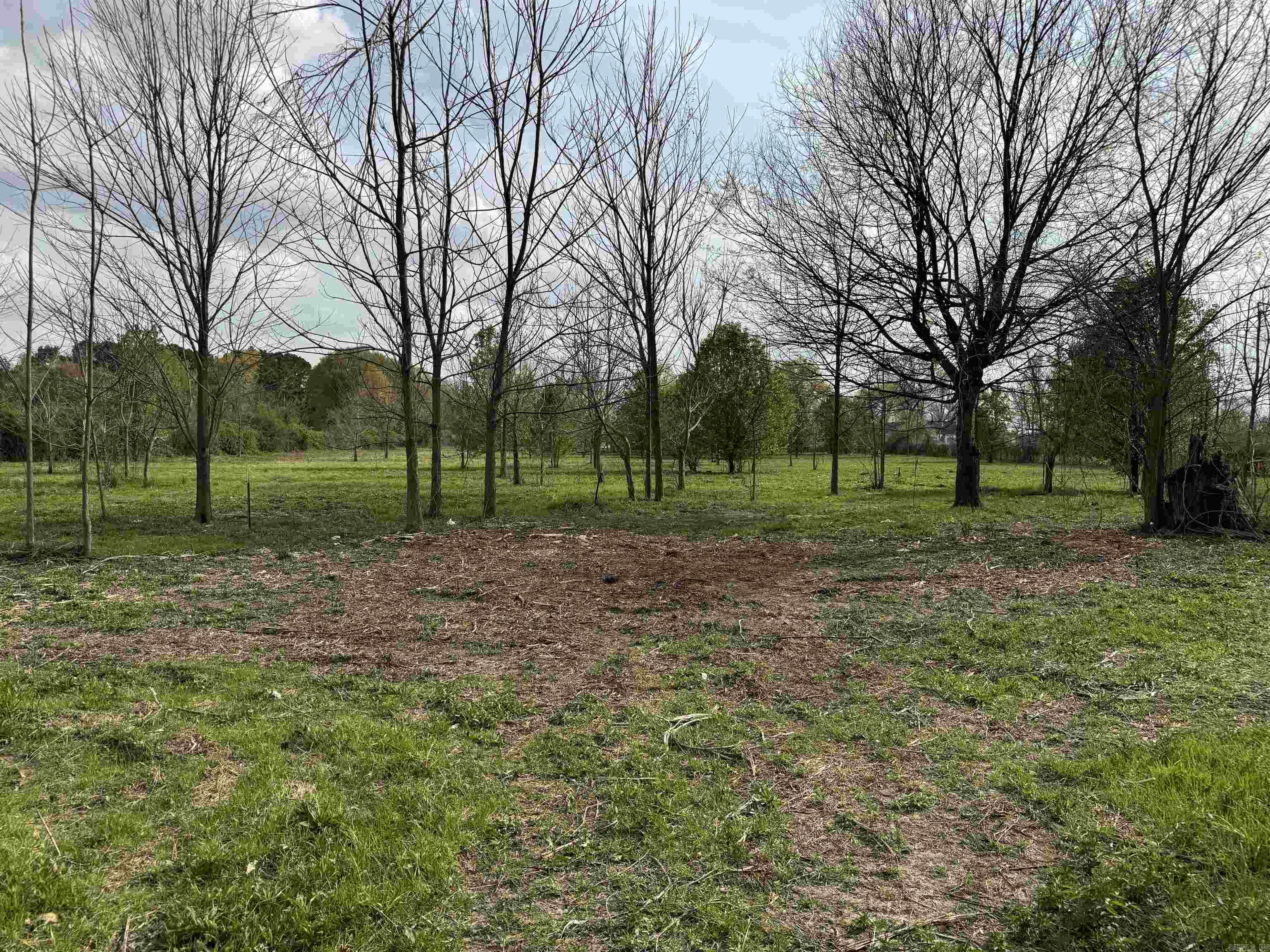 SCOTT PLANTATION - Residential