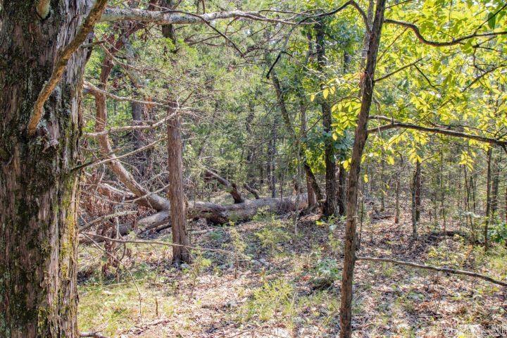 Not in Subdivision - Land