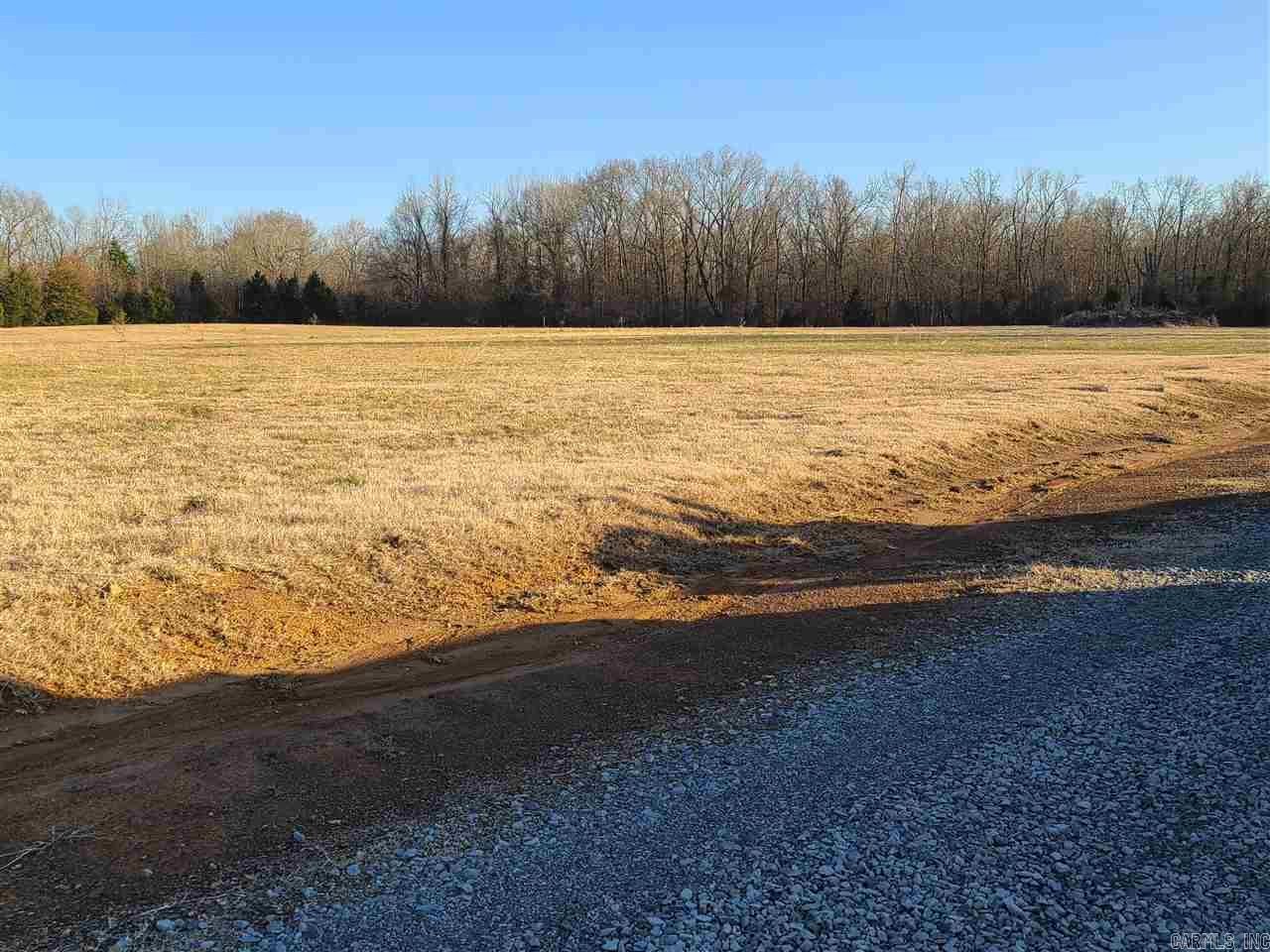 Level Building lot, With Privacy Perfect Location for those wanting to be a little out in the Country, but not too far in the Boon Docs. 8 miles Close to Interstate, Sam's Club, Shopping, Multiple Lots available at various prices. No Through Traffic. Located in a Cul-de-sac at the end of a Dead End Road. Some Trees on the front of the lot. See plat attached.