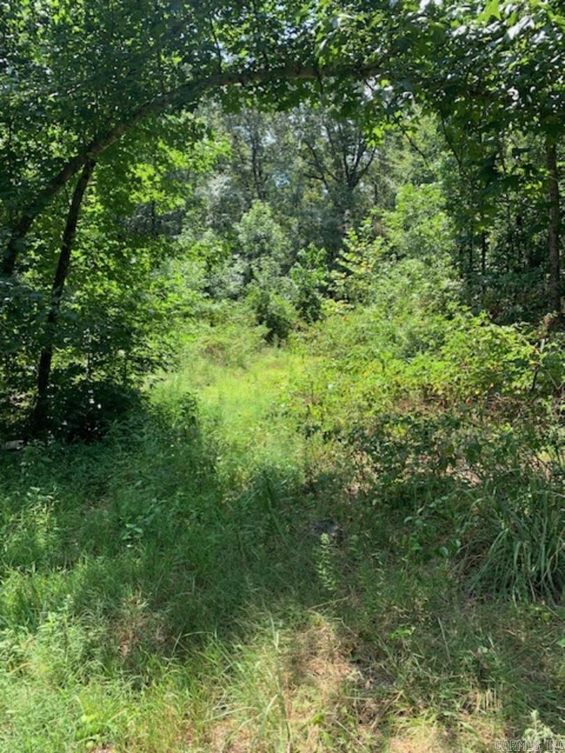 Big Creek - Land