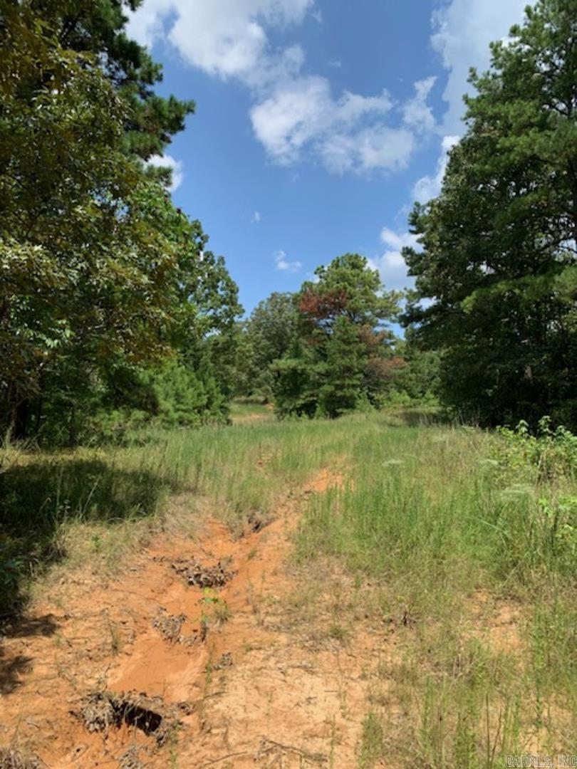 Big Creek - Land