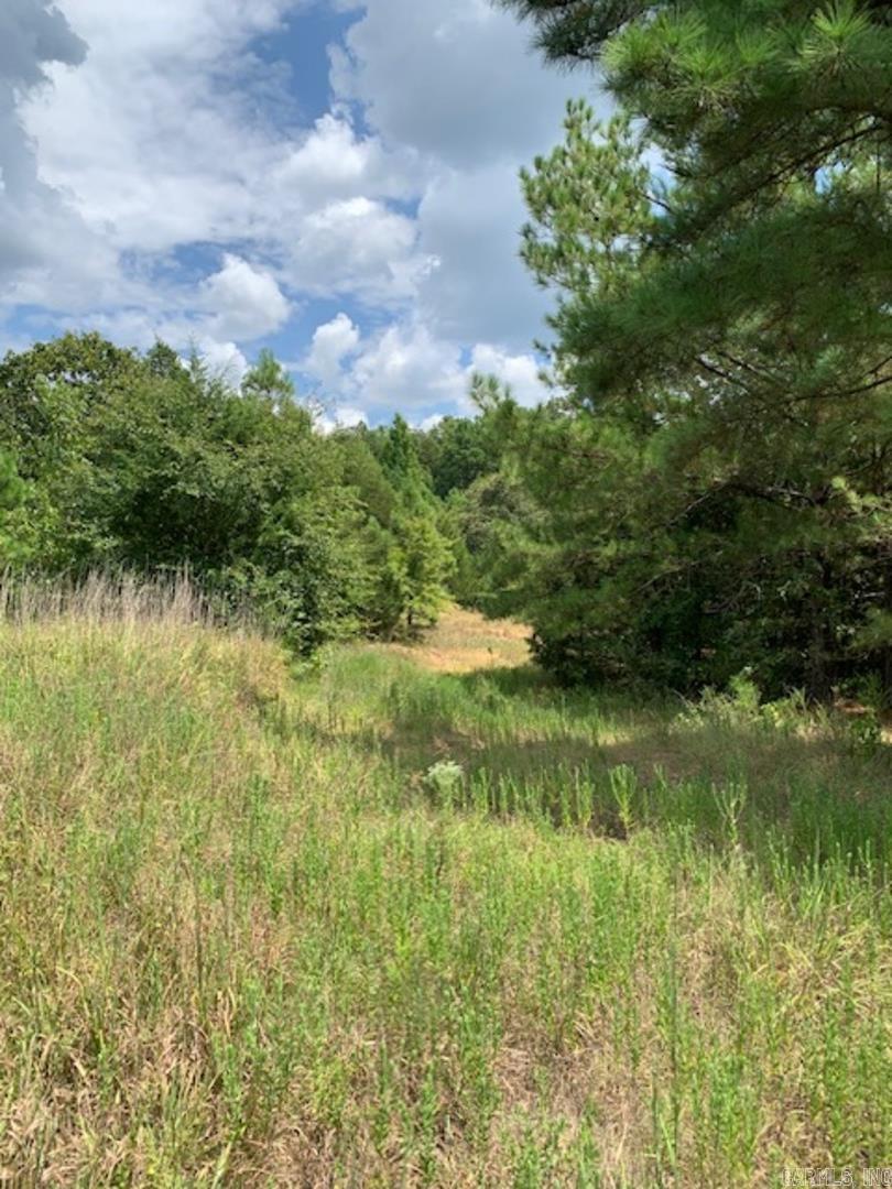 Big Creek - Land