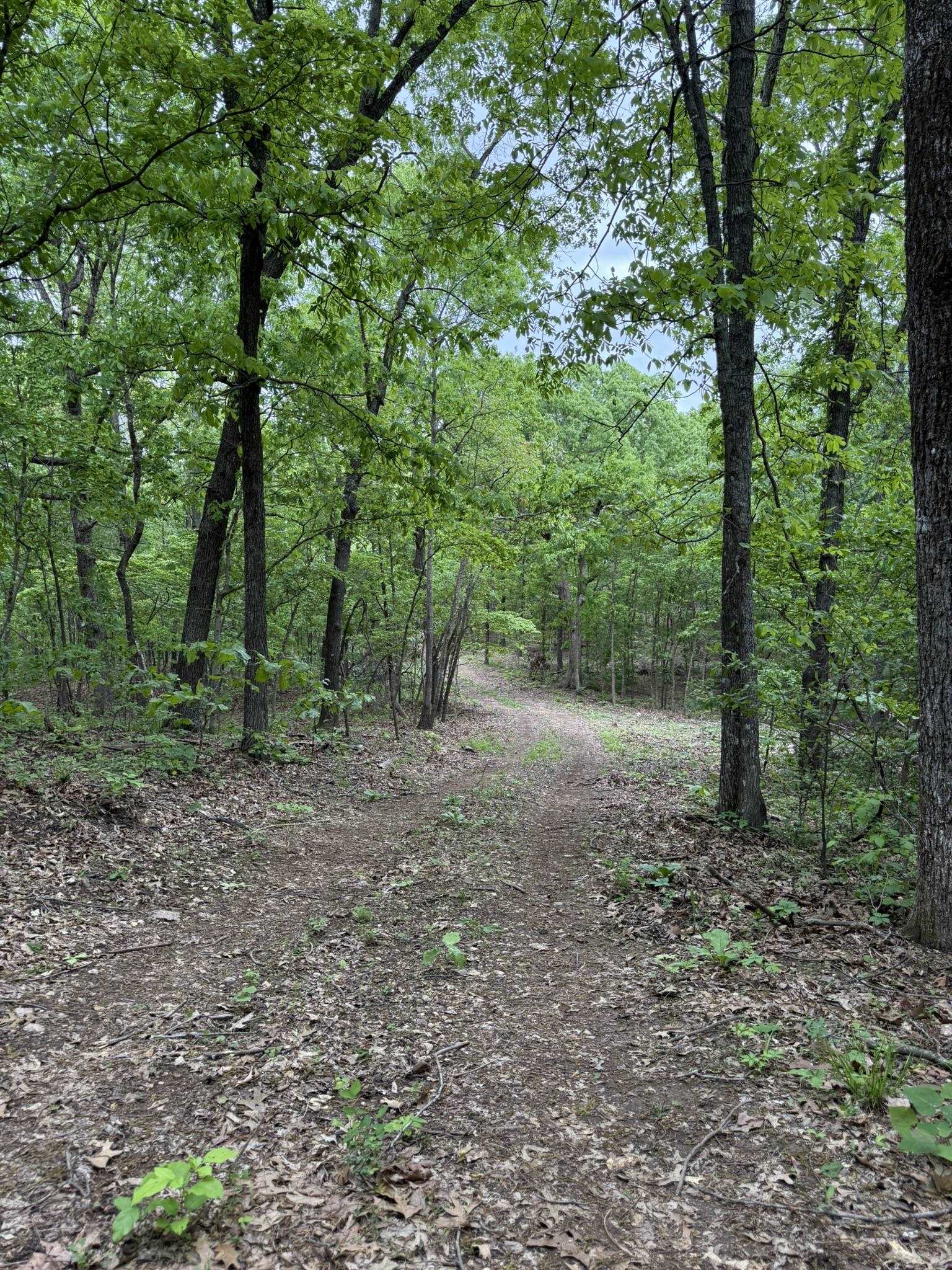 This 25 -acre hunting property in North Central Arkansas offers a prime mix of natural beauty and recreational potential. Located just one hour from Jonesboro, AR, and a little over two hours from Memphis, TN, this property provides the perfect balance of seclusion but not too far of a drive away from the city. Just a mile from Big Creek, youāll have easy access to fantastic kayaking and fishing. The geography of this acreage is actually a large plateau that is mainly covered in white oak timber and few limestone rock outcroppings with the occasional pine and cedar tree. It creates an excellent habitat for deer and turkey, which is perfect for bedding and roosting. The property is also located near Harold Alexander Wildlife Management Area, offering additional opportunities for hunting and outdoor recreation. For more information about the nearby Harold Alexander Wildlife Management Area, visit: https://www.agfc.com/en/zone-map/667/ This 25-acre property is accessible via an easement road and is listed at just $69,900.