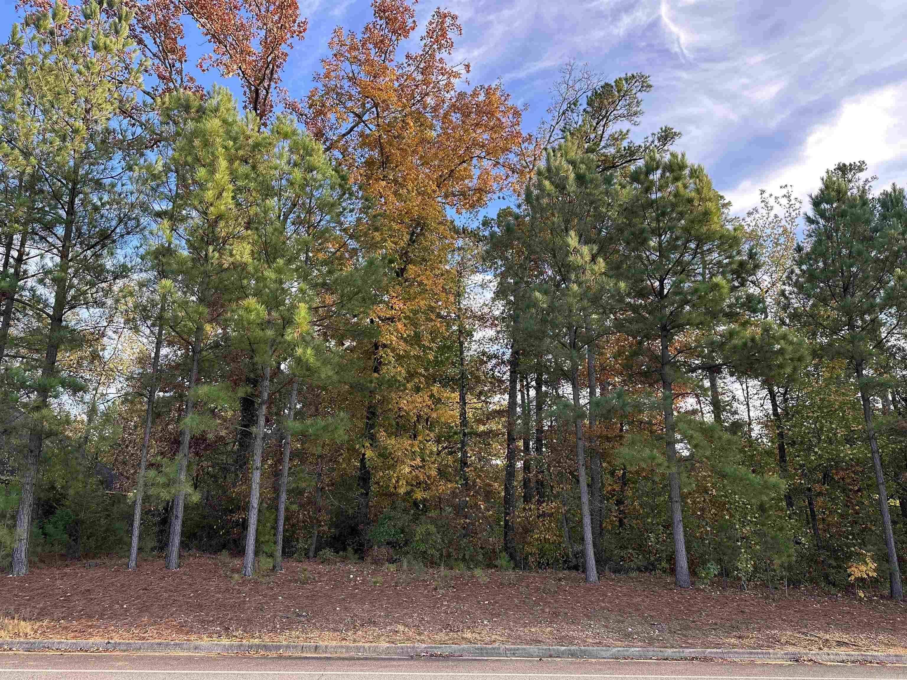 Hurricane Lake Estates - Land