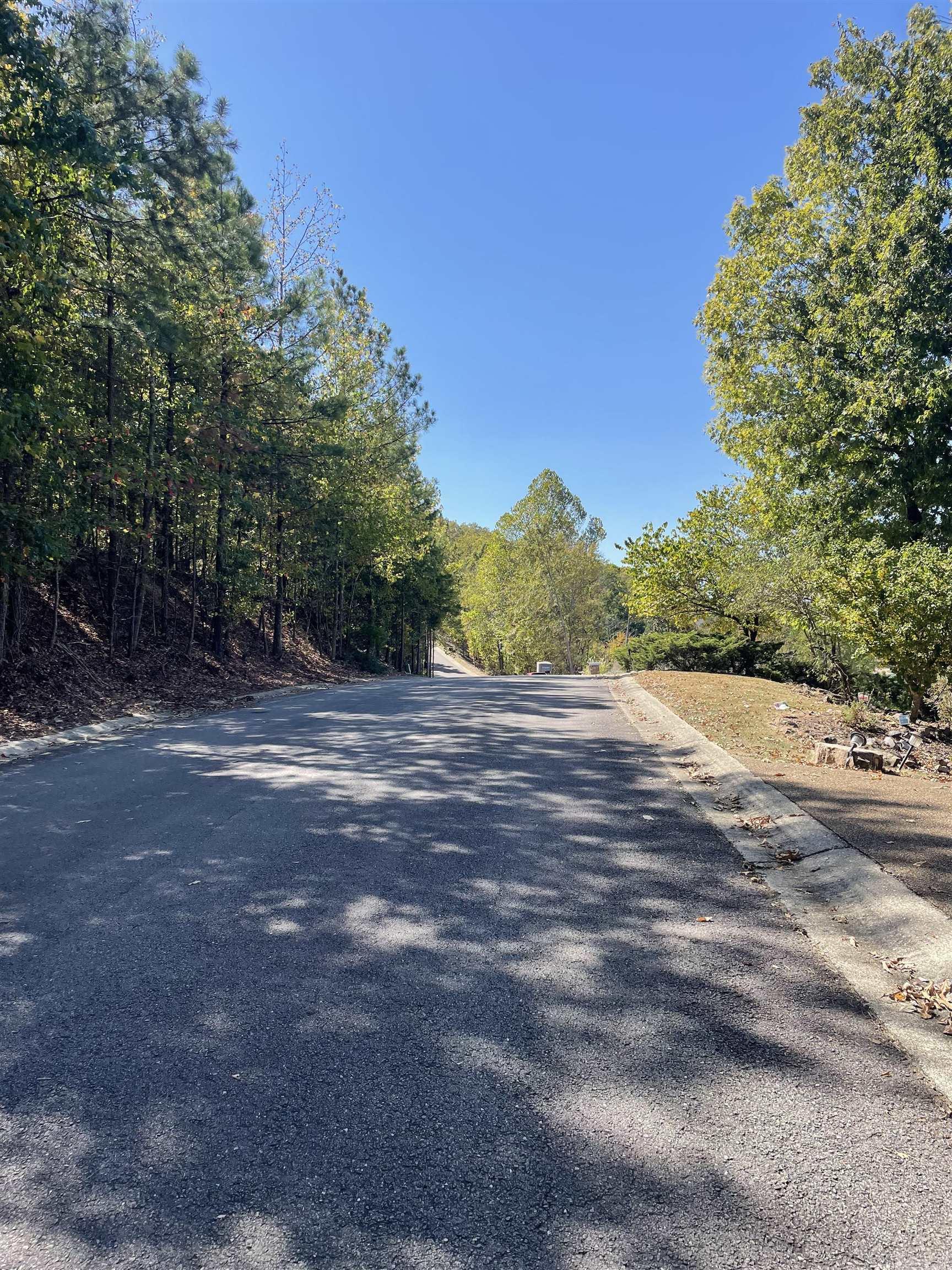 Investors and Builders- What a great area to build, beautiful on lake and off lake properties in Lake Hamilton district Neighborhood. This land has approx. 4.5 acres offering privacy, lake views, lake access boat ramp across the street, sewer and electric utilities at the street. Gated entrance but no POA or restrictions! Call for more details. Seller will split or sell all together, 8 lots are listed individually also.