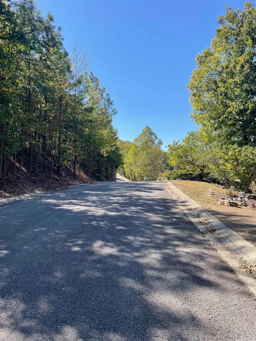 Investors and Builders- What a great area to build, beautiful on lake and off lake properties in Lake Hamilton district Neighborhood. This land has approx. 4.5 acres offering privacy, lake views, lake access boat ramp across the street, sewer and electric utilities at the street.  Gated entrance but no POA or restrictions!  Call for more details.  Seller will split or sell all together, 8 lots are listed individually also.