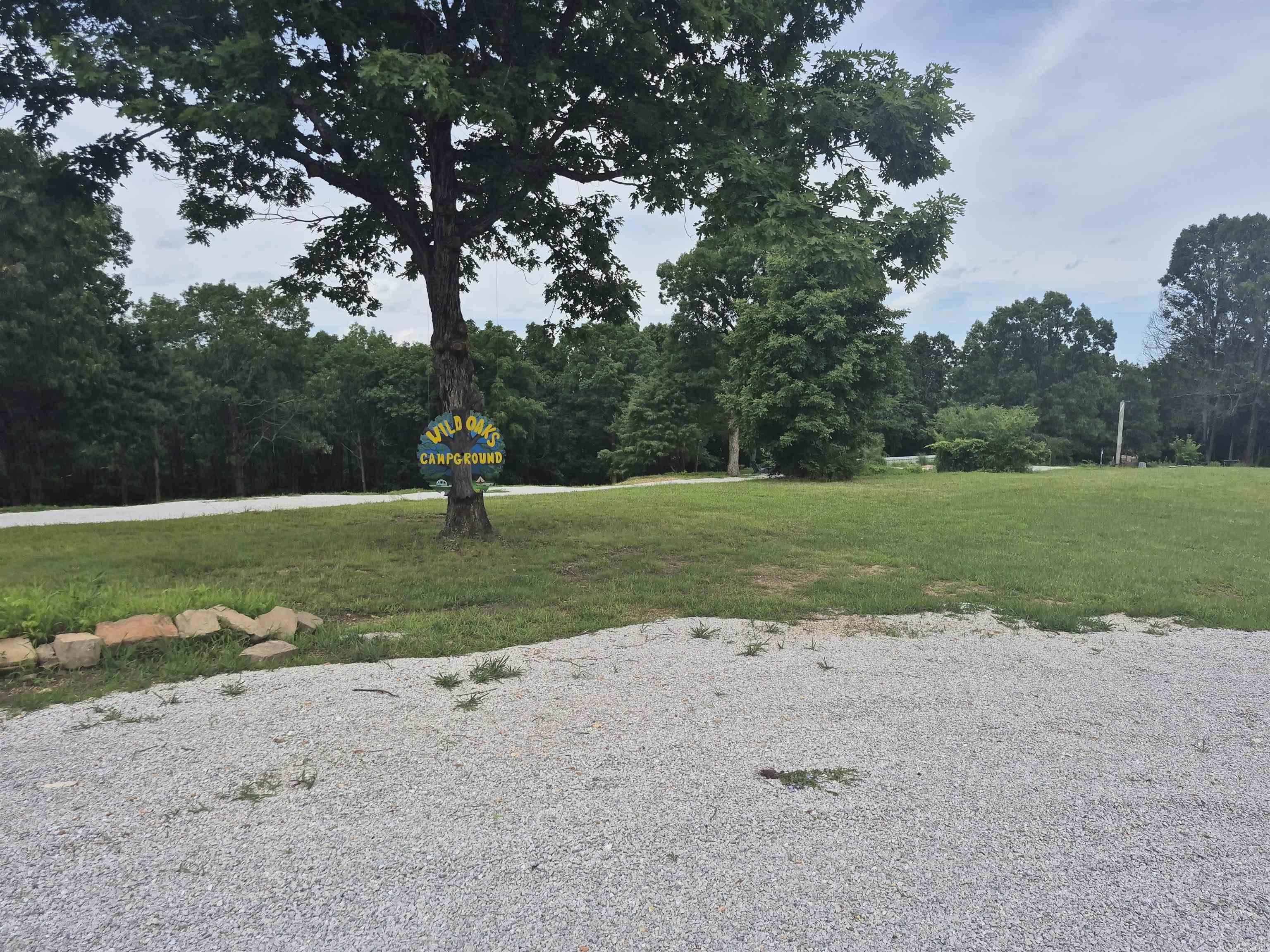 This 4.75 +/- acre property offers an ideal setup for recreational use or potential income, featuring 2 full RV/Camper hookups and 3 established primitive camping sites, with room to add more. Water, Septic and Electricity are already on side, providing convenience and functionality. Scattered fruit trees add a touch of charm to the landscape. Conveniently located on US Hwy 65, the property offers easy access and is just minutes from the scenic Buffalo National River-making it a prime spot for outdoor enthusiasts, campers, or anyone looking to enjoy the natural beauty of the Ozarks.