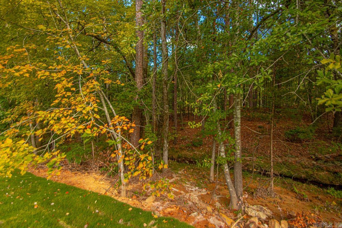 CHENAL VALLEY CORLAY COURT - Residential