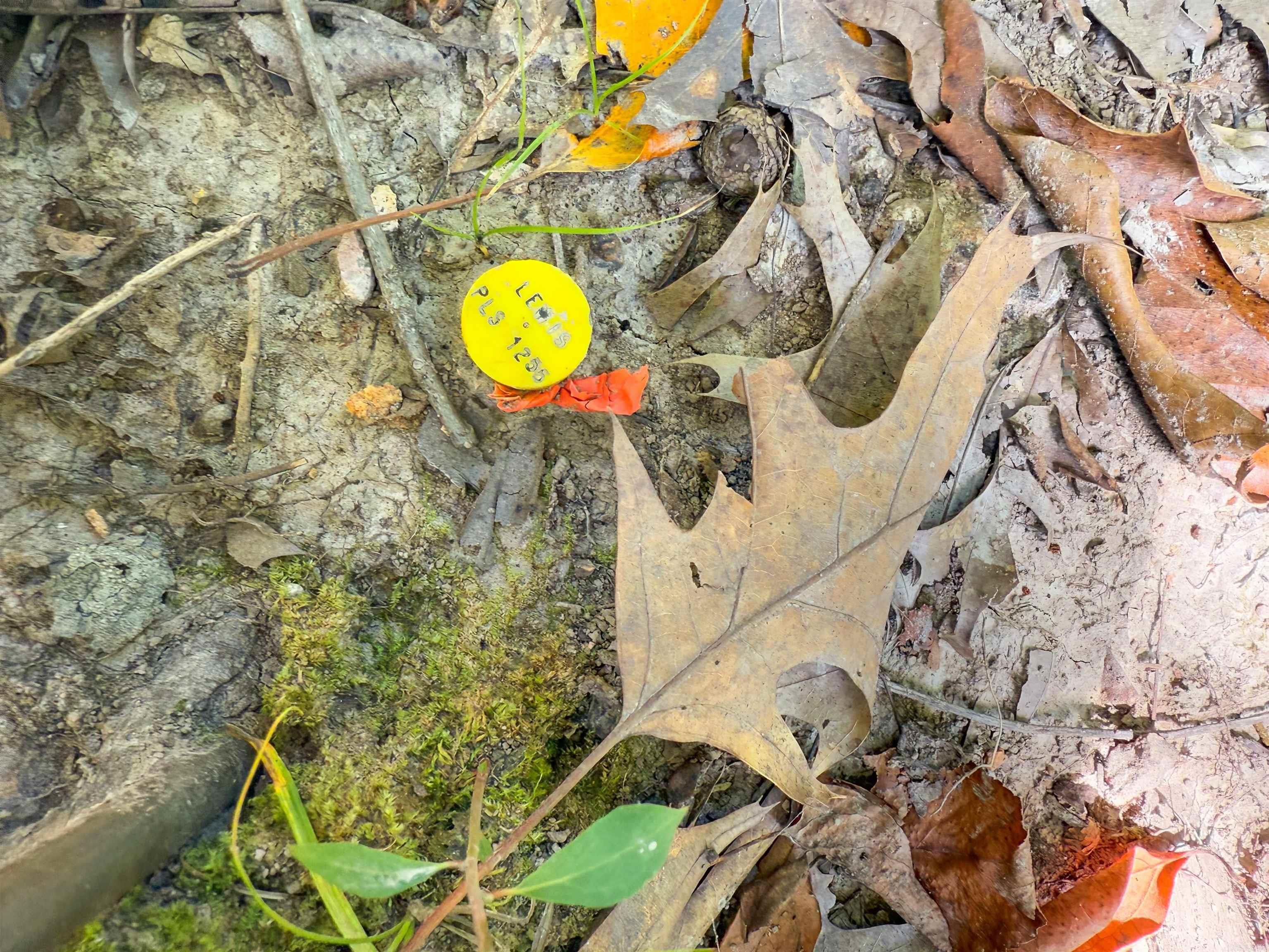 Not in Subdivision - Land