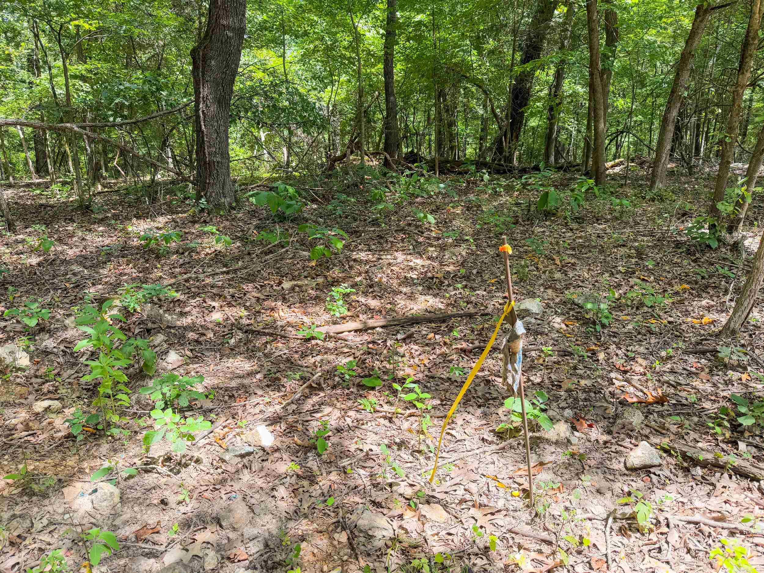 Not in Subdivision - Land