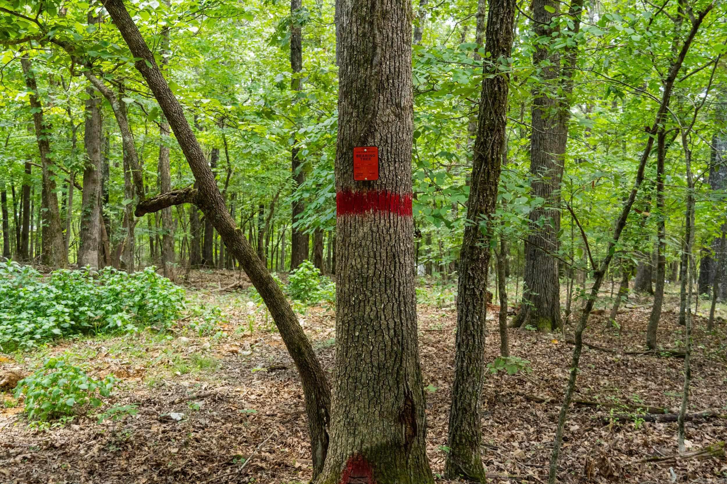 Not in Subdivision - Land