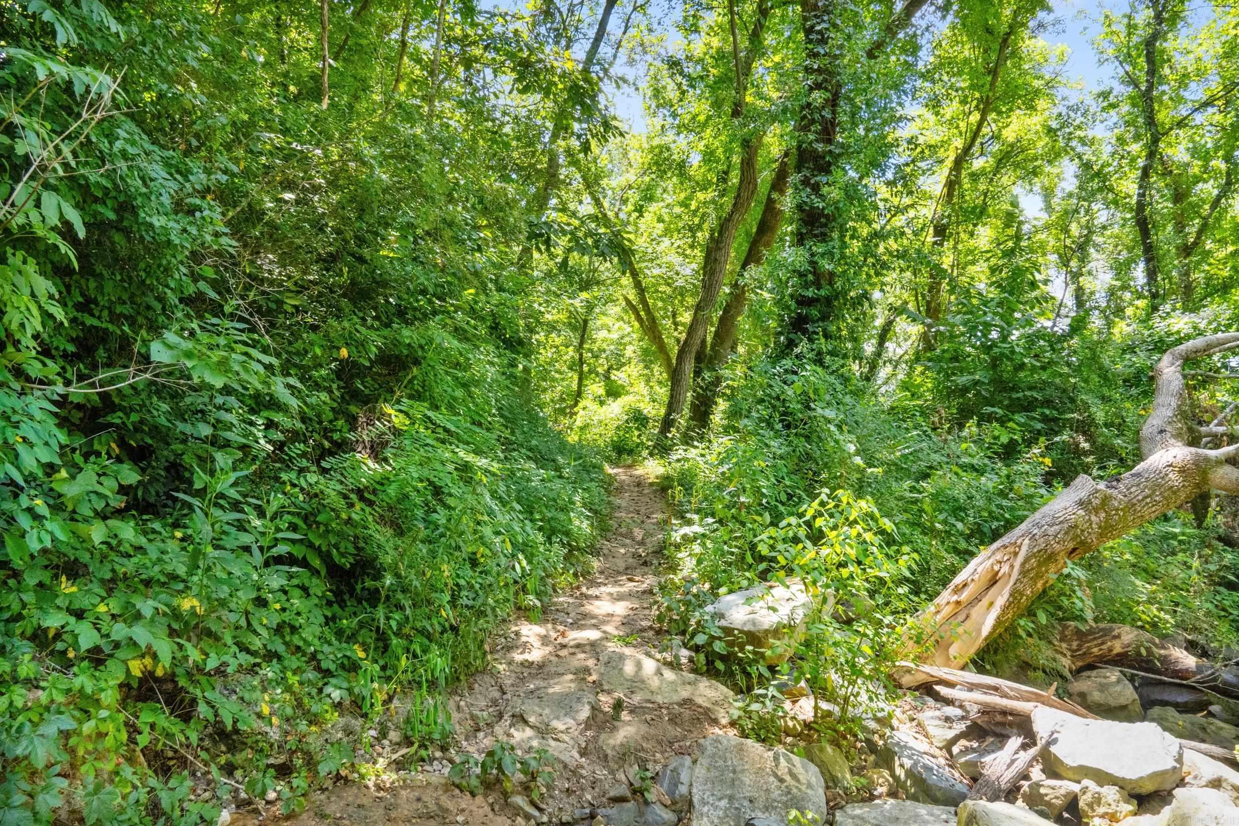 Not in Subdivision - Land