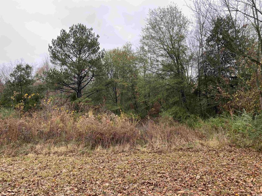 5.82 acres m/l. Located in Parks, Ar. Post office nearby. Approximately 12 miles from Waldron. Water and Electric on Property. No Outbuildings Convey. Several Pecan and Plum Trees. Pond. Call to schedule your showing today!