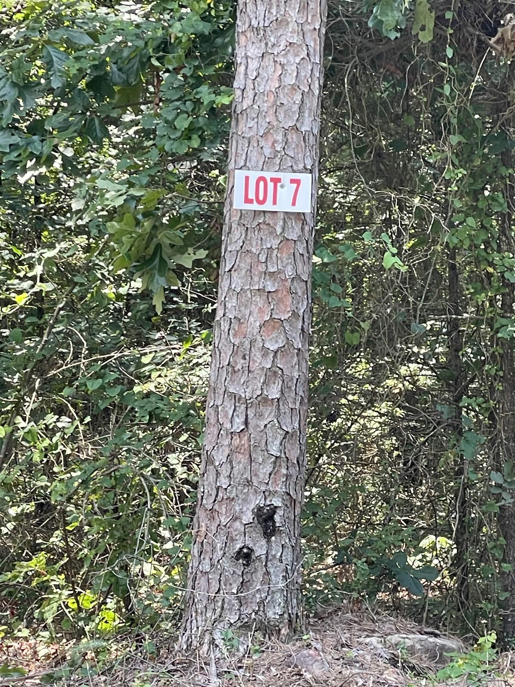 Nice flat lot. Mobiles ALLOWED!! There is a utility easement on the back side of property so no one can build on it. Cut the right trees for lots of privacy. Convenient to shopping in the town of Greers Ferry. This is a superb location for a vacation/weekend getaway or a permanent home. Lake access on Twin Coves just around the corner!!