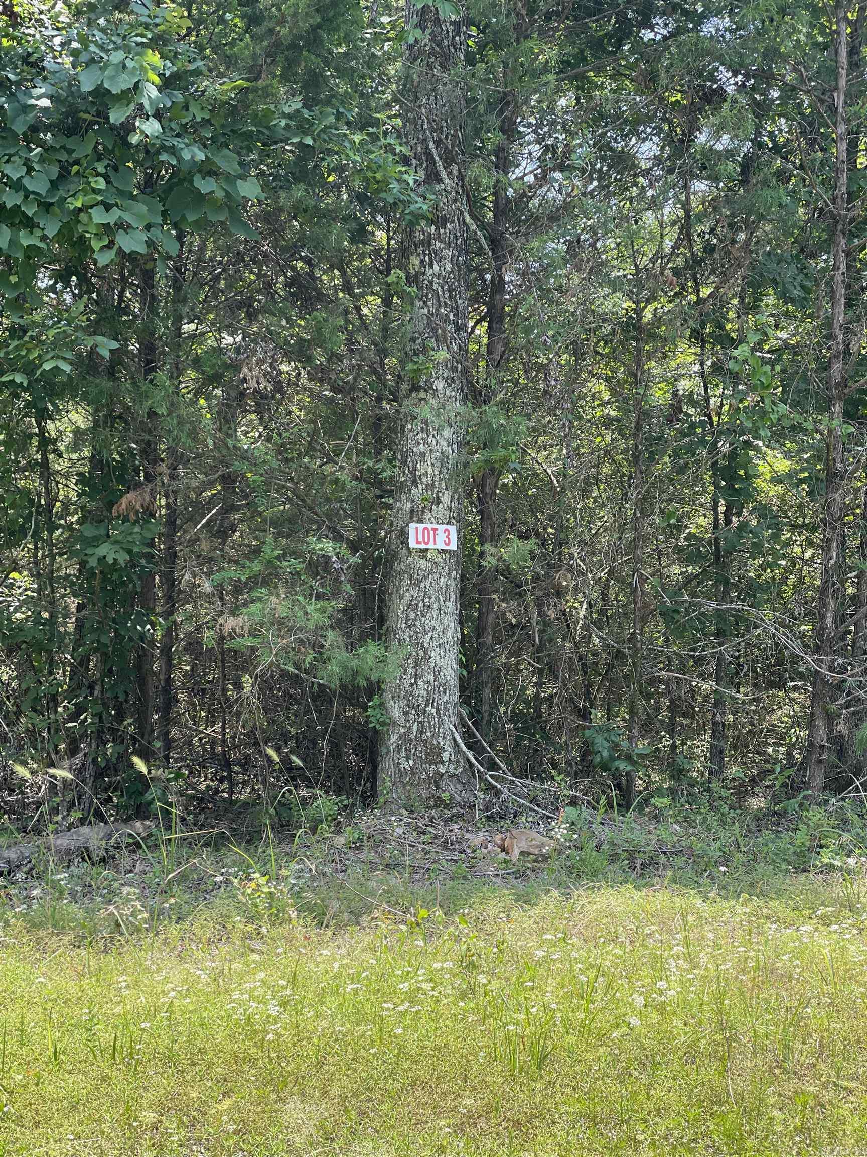 Nice flat lot. Mobiles ALLOWED!! There is a utility easement on the back side of property so no one can build on it. Cut the right trees for lots of privacy. Convenient to shopping in the town of Greers Ferry. This is a superb location for a vacation/weekend getaway or a permanent home. Lake access on Twin Coves just around the corner!!