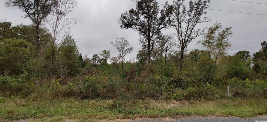 Build your dream home in this peaceful neighborhood just minutes from town. With over 3 acres you have plenty of room to build yet still feel secluded from neighbors. Both new and established homes in the subdivision. Utilities available.