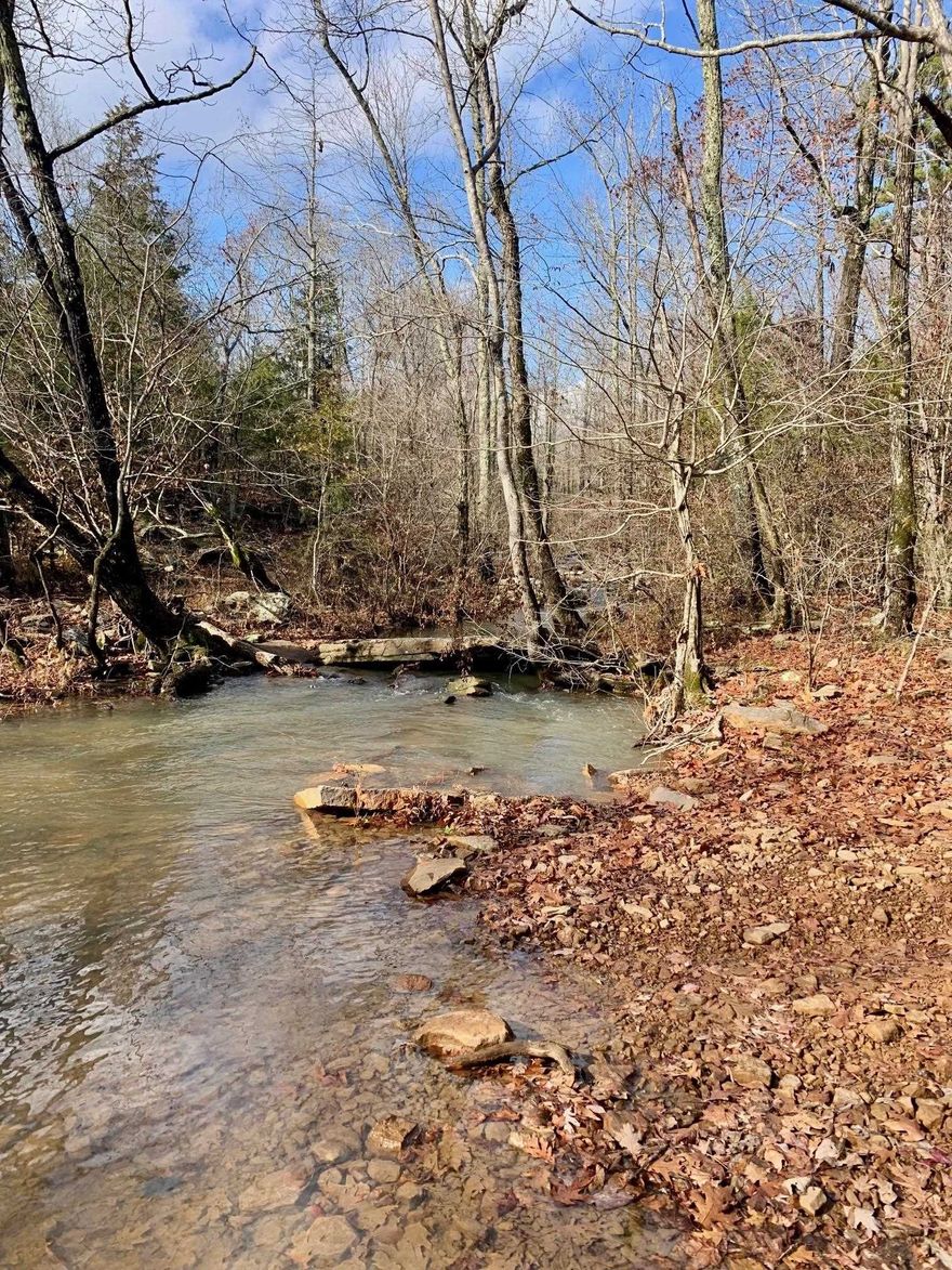 Currently a well established ATV Park "The Ridge Off Road Park".  The property consists of 339.64 acres; 7 ponds; trails throughout; 3 camper spots with septic, water and electric; approx 100 acres is cleared; exceptional hunting with an abundance of deer and turkey.  There is a double wide on the property that is not conveying at this price but would considering selling as well.  Seller would need 30 days to move the mobile post closing.  *Agents please see showing/agent remarks