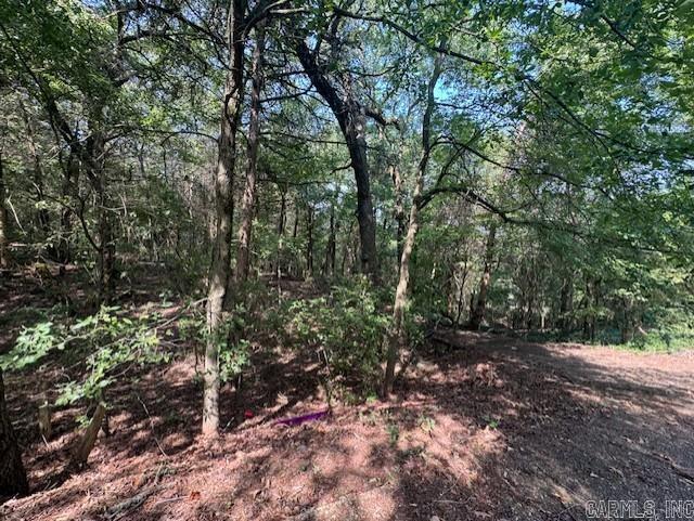 LEISURE EXTATES SUBDIVISION - Residential