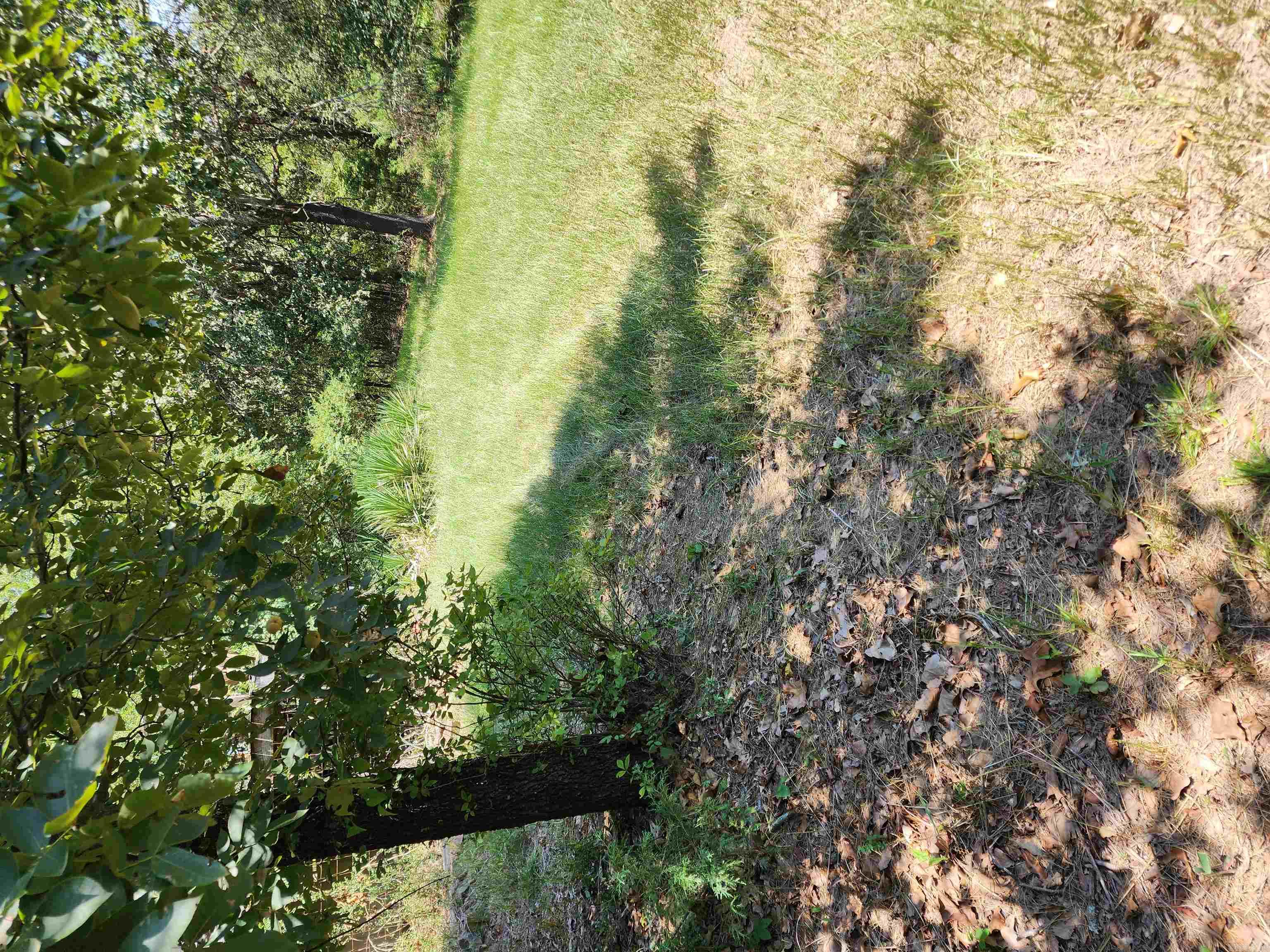 WILLOW LAKE - Residential