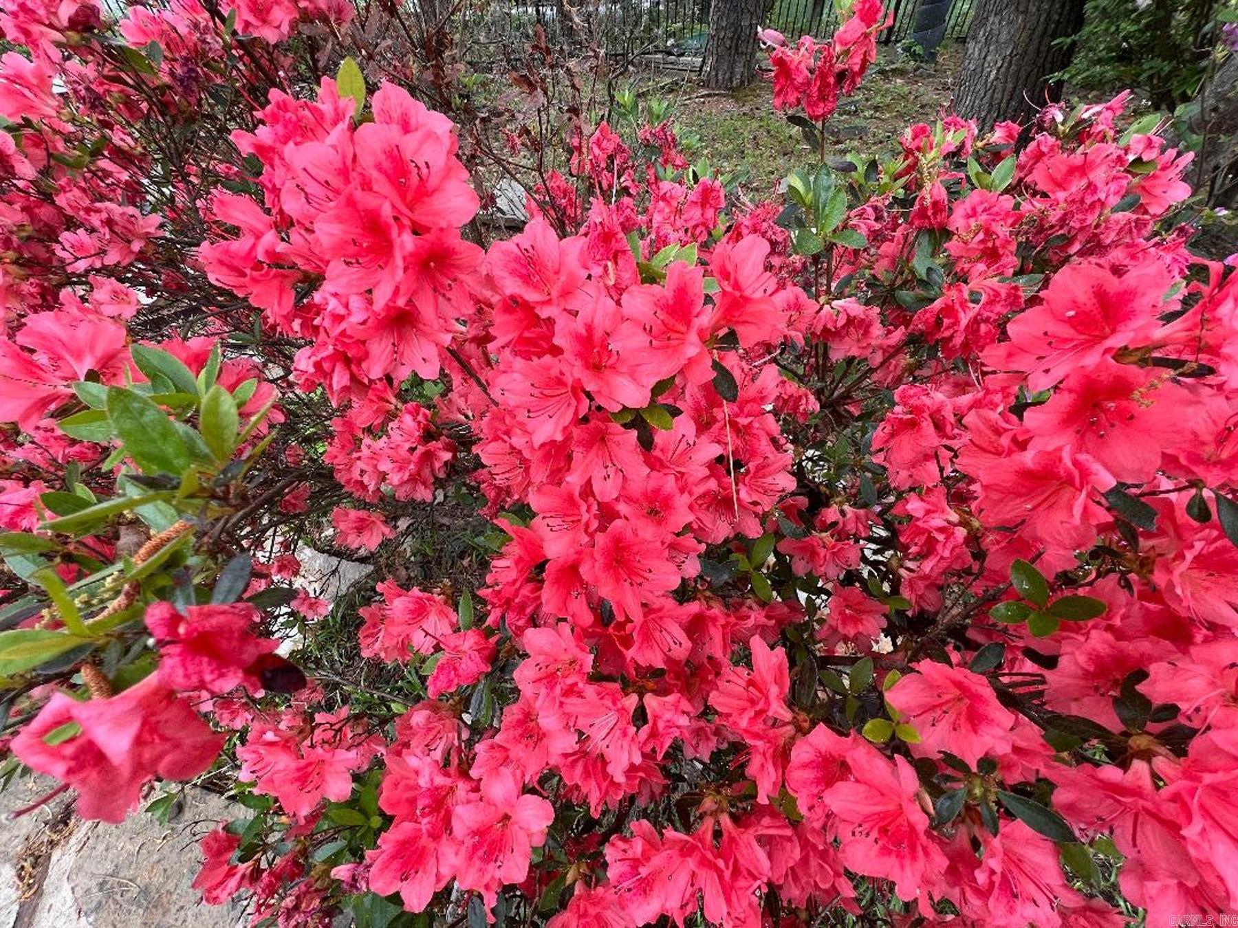 Guadalajara - Residential