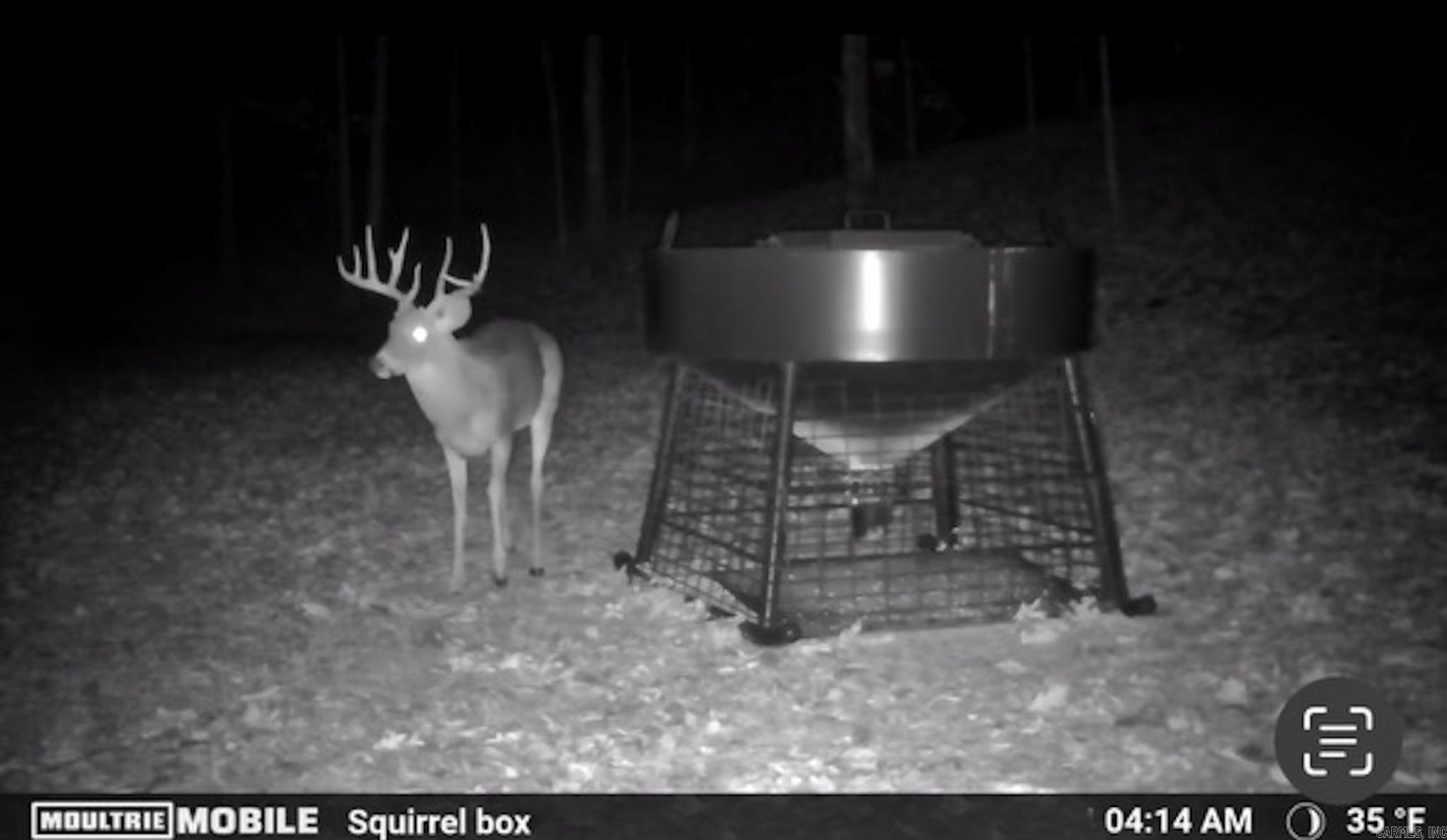 Ravenden - Residential