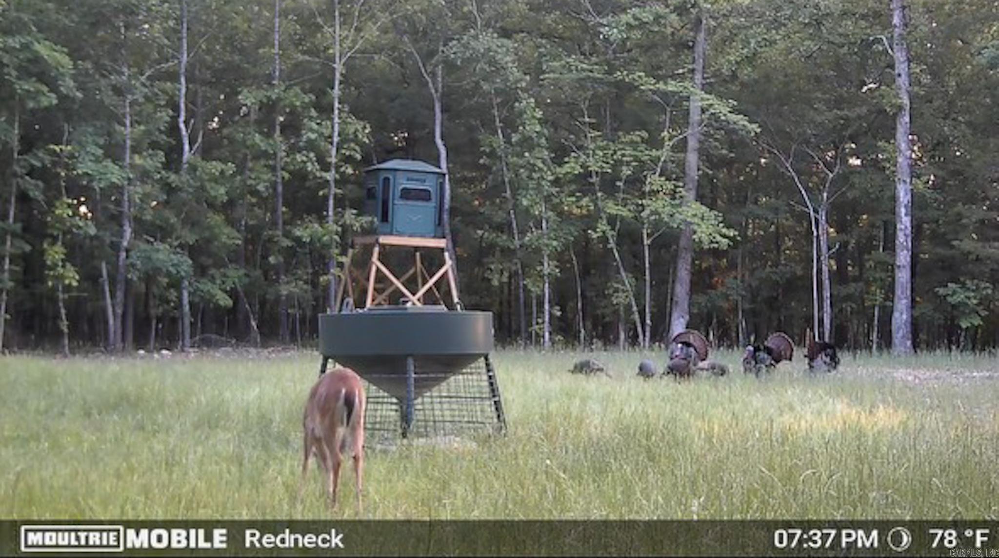 Ravenden - Residential