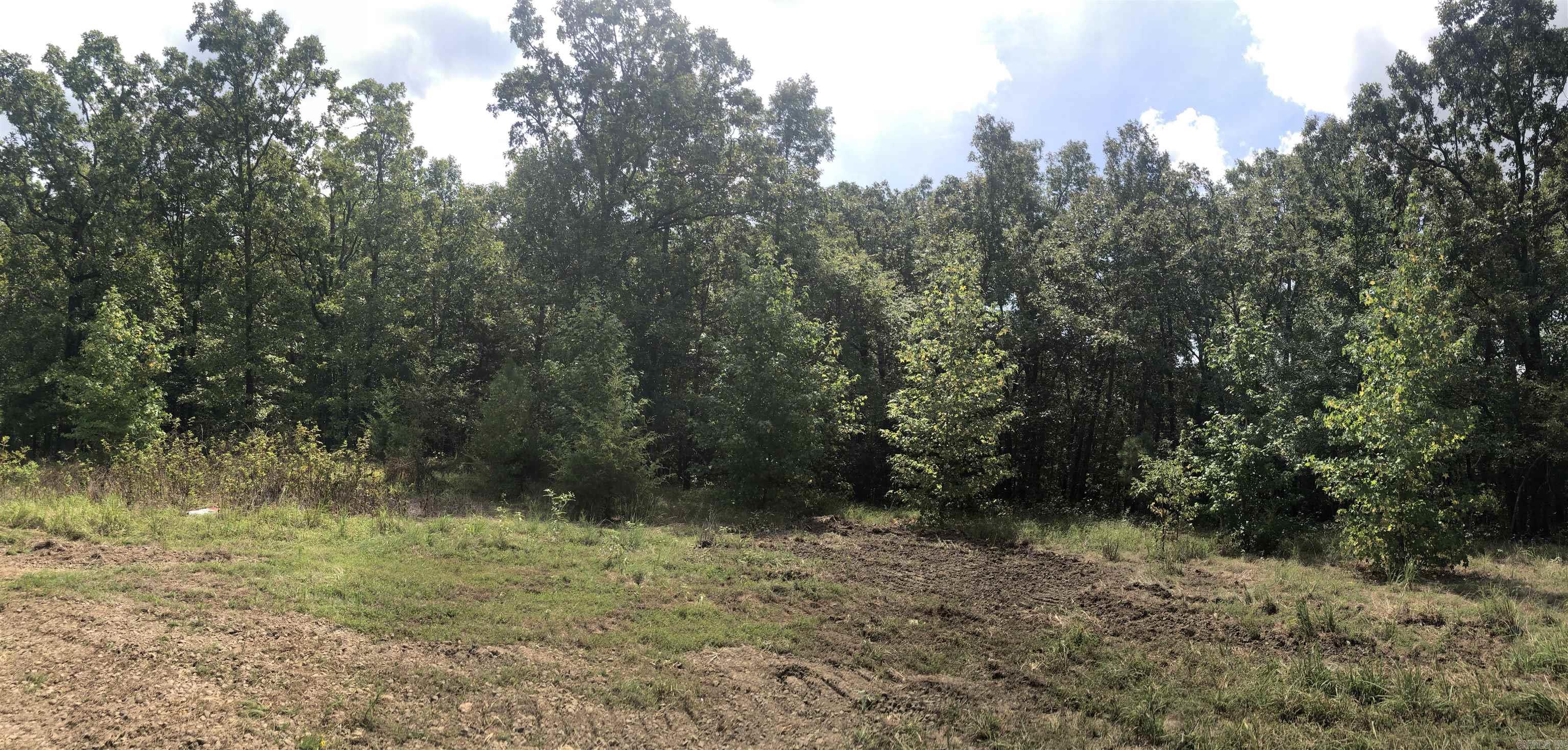 Looking for 12 acres land to build your perfect house with a view, this is it! Lots of land and space to grow. Minimum sqft to build is 1,400. No cattle, mobile or modular home allowed. Call today.