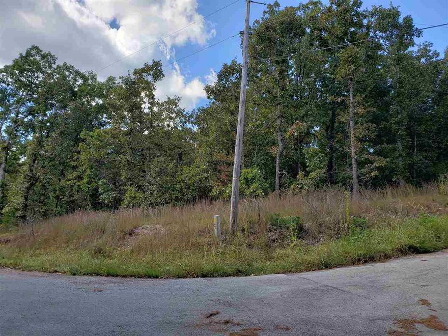 Come get a look at these 2 wonderful lots, side by side, up on the hillside just a 10th of a mile up the hill from lake Navajo. These lots have PASSED a PERC-TEST, there is a culvert already on site with a driveway. There is a 12x12 storage shed on site that has a cement floor. The lots have been cleared for a power lines and possible homesite already. These Lots may have a seasonal view of the lake. With a gentle slope from the front to back and right to left. This is a corner lot property with access to the property from Meca Dr. & Iuka Drive. 2 lots with over 1/2 acre of land to build your dream home on in beautiful Cherokee Village with 7 lakes, 2 golf courses and the beautiful South Fork River running through it.