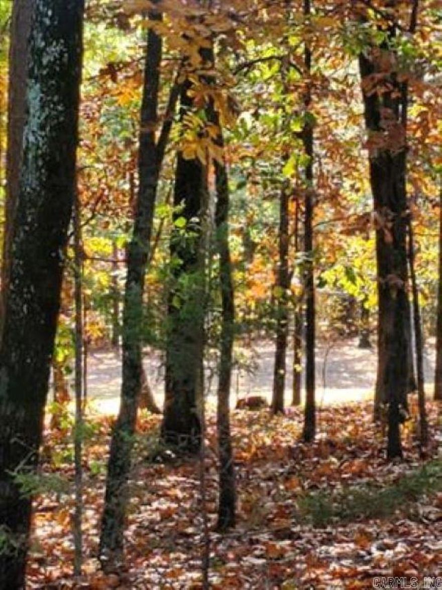 Beautiful level lot fronting the Indian Hills golf course.  Quiet neighborhood of very nice homes.  Walking distance to fishing pond.  This would be a great lot to build your dream home on.