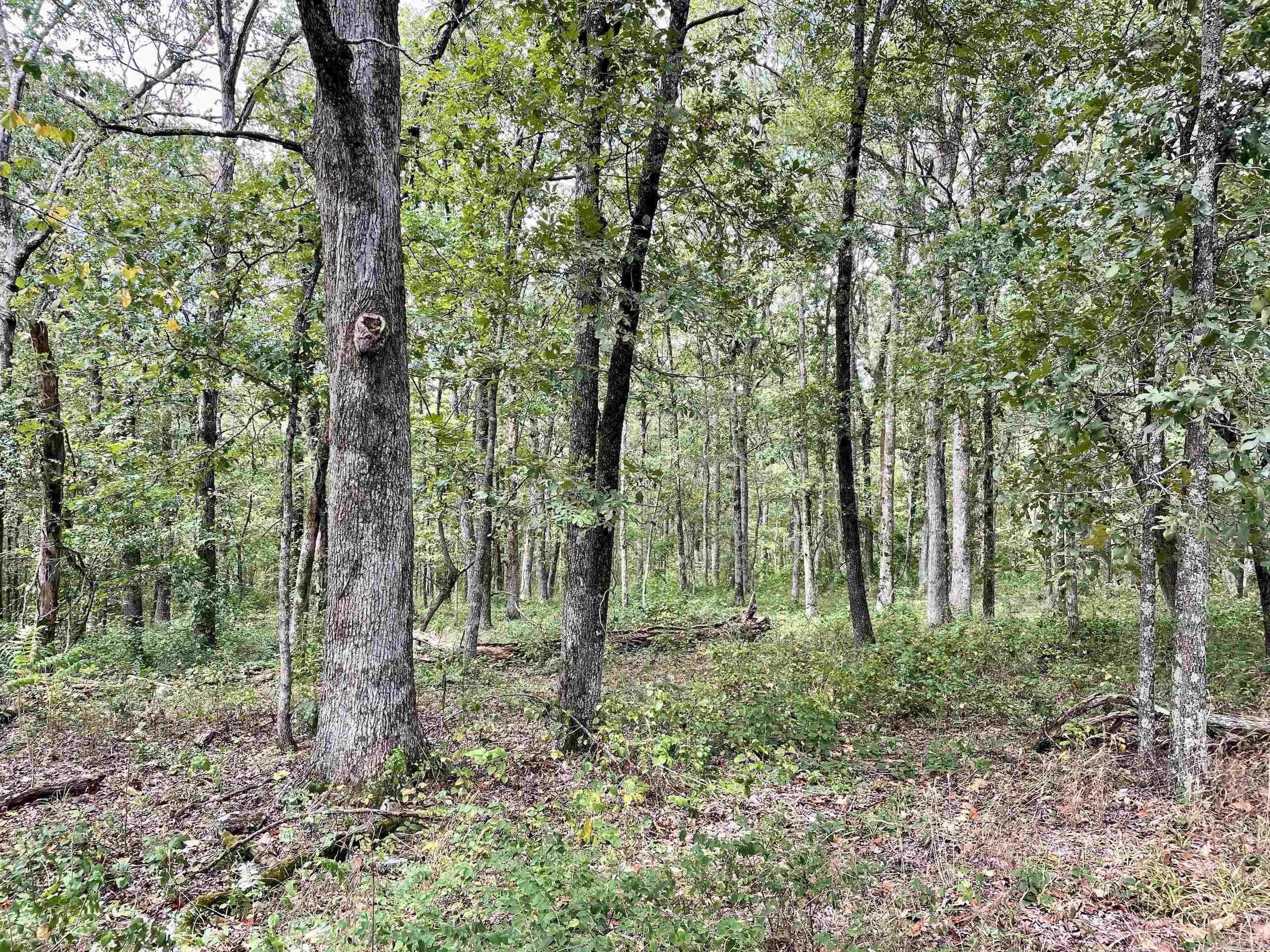 Not in Subdivision - Land