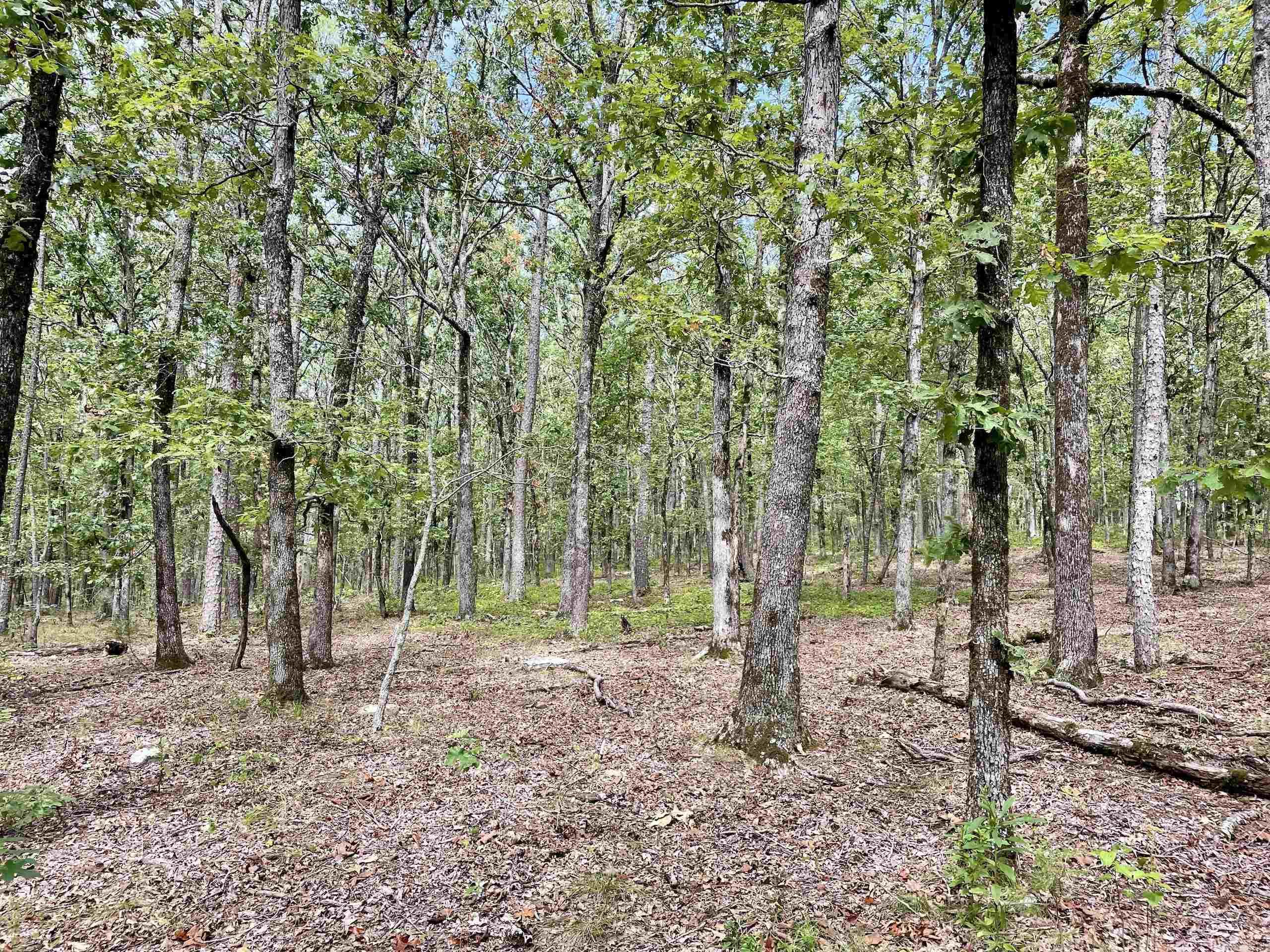 Not in Subdivision - Land