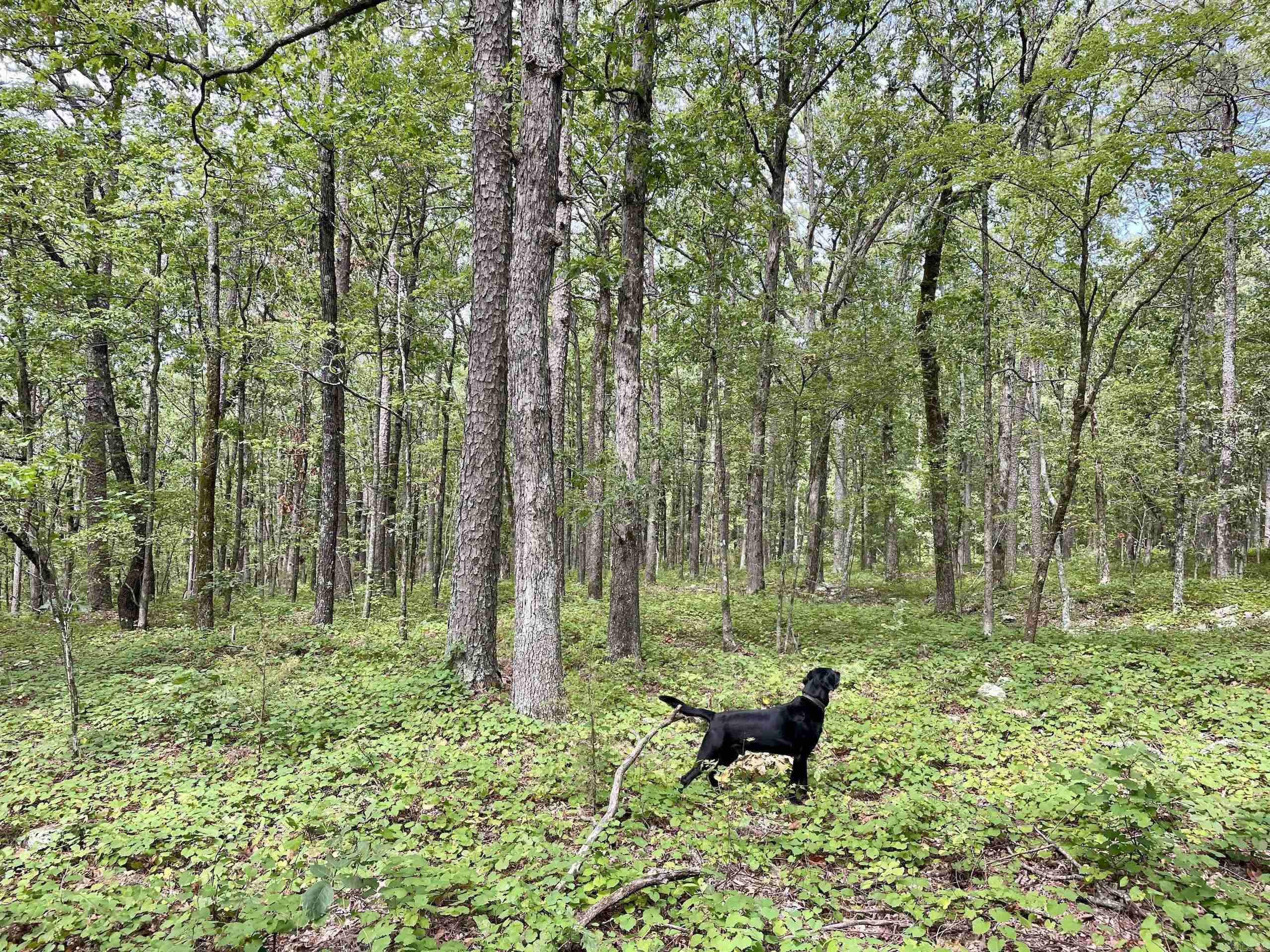 Not in Subdivision - Land