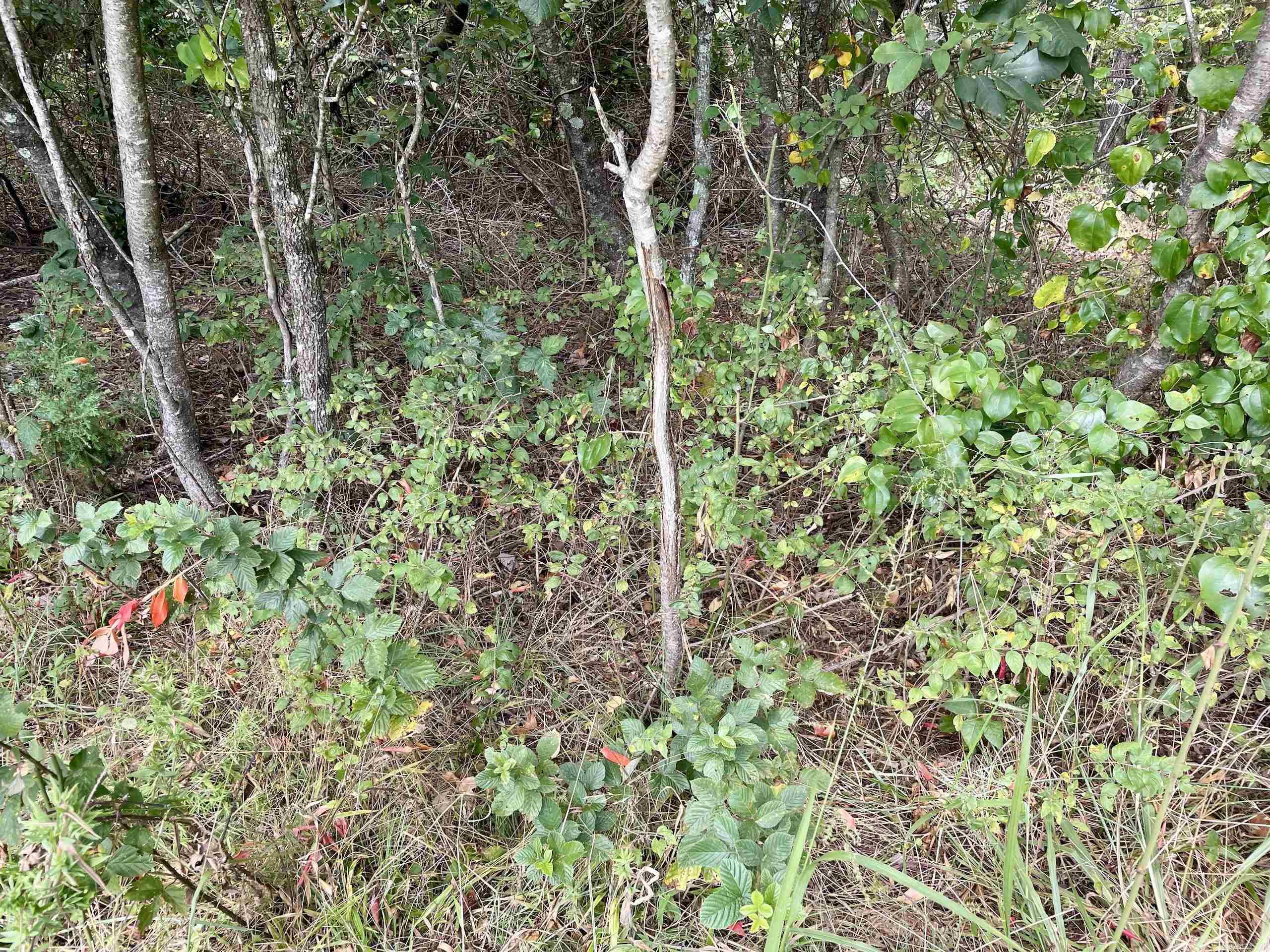 Not in Subdivision - Land