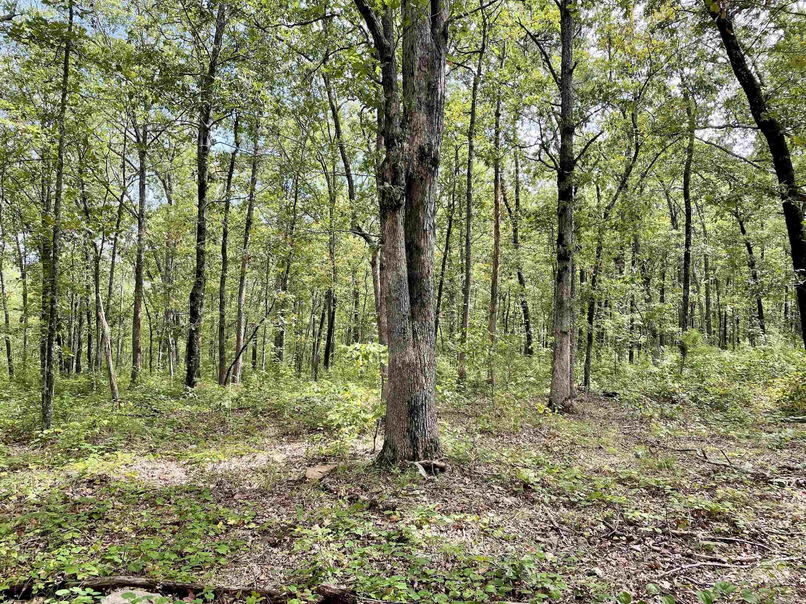 Not in Subdivision - Land