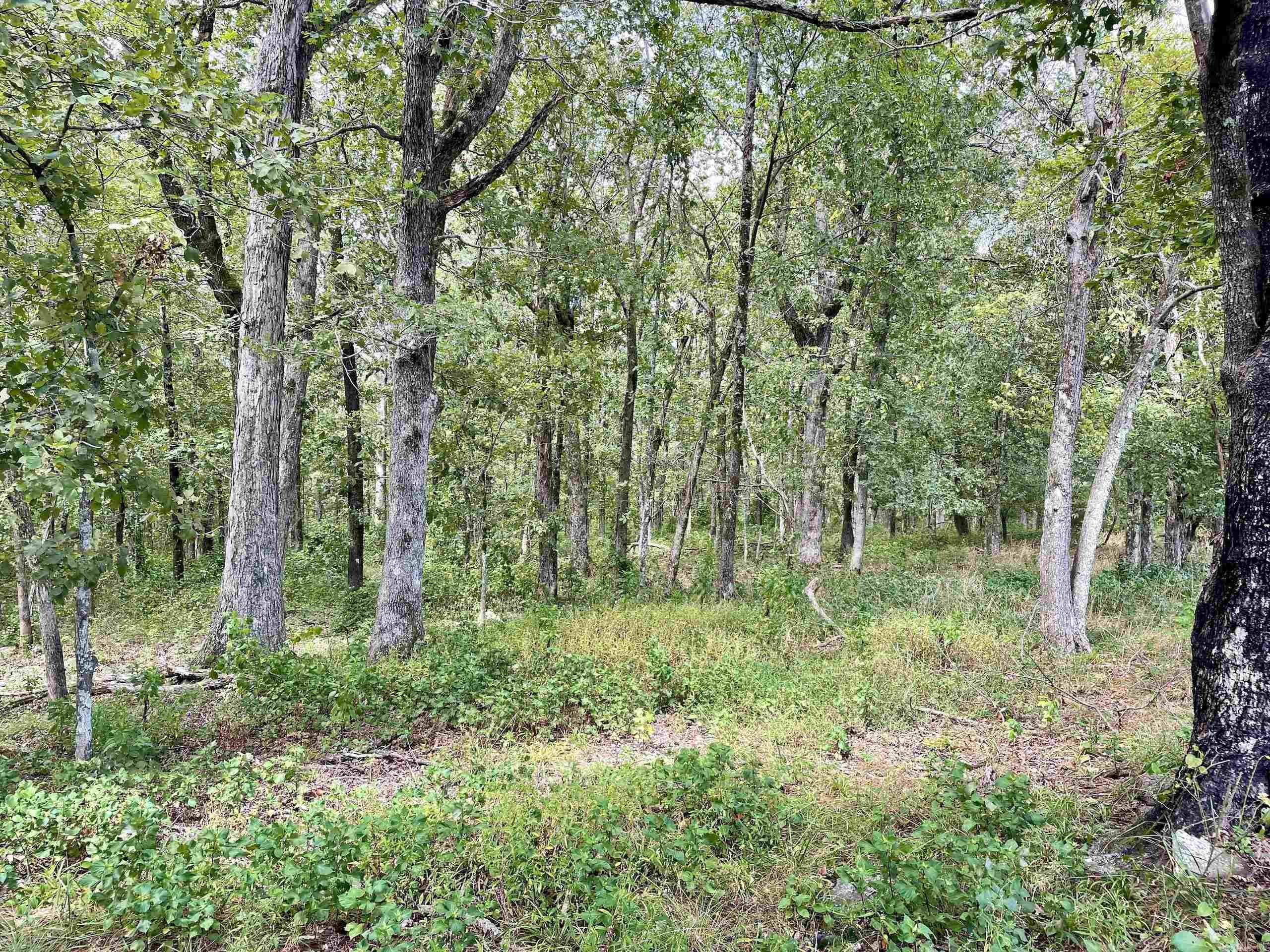 Not in Subdivision - Land