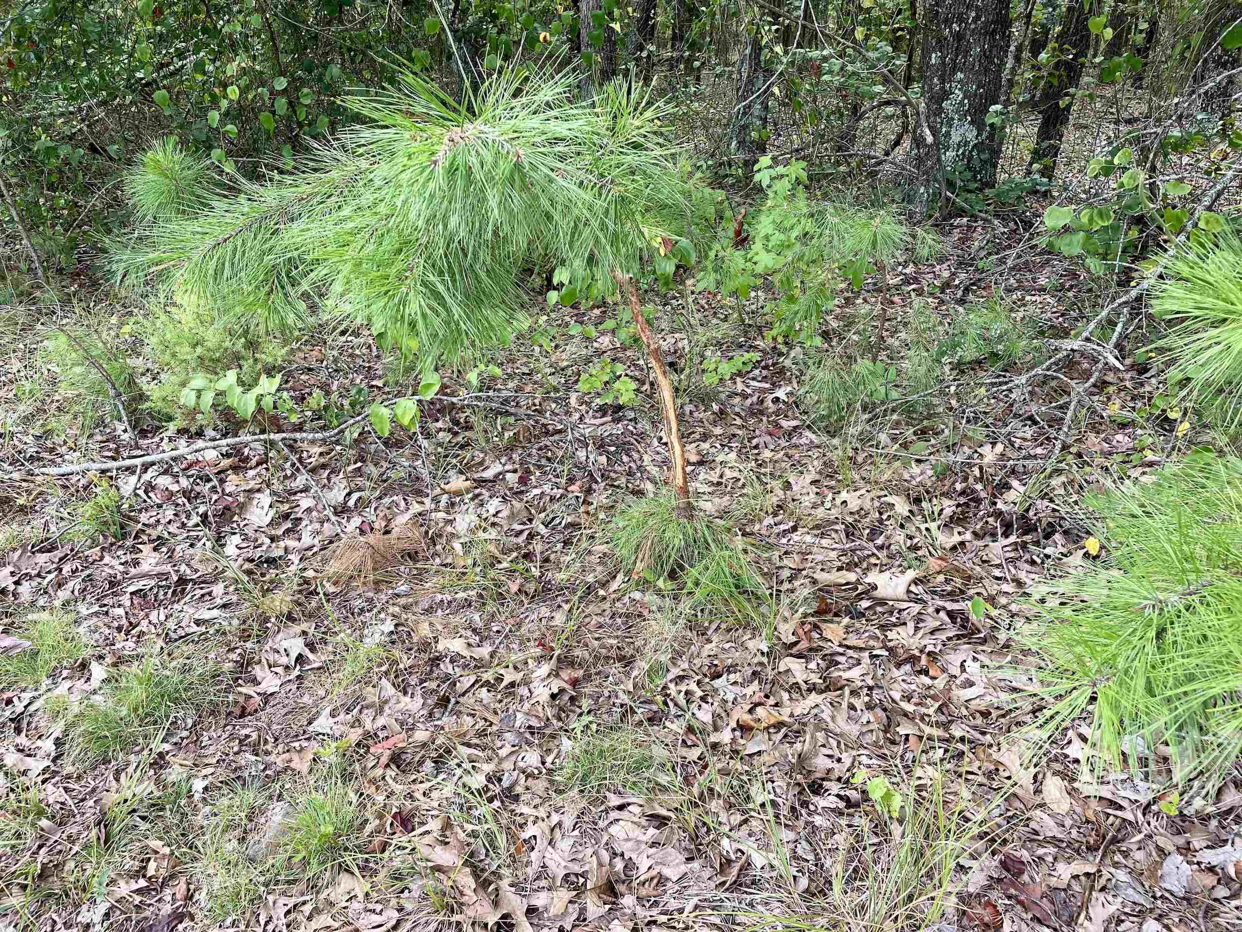 Not in Subdivision - Land