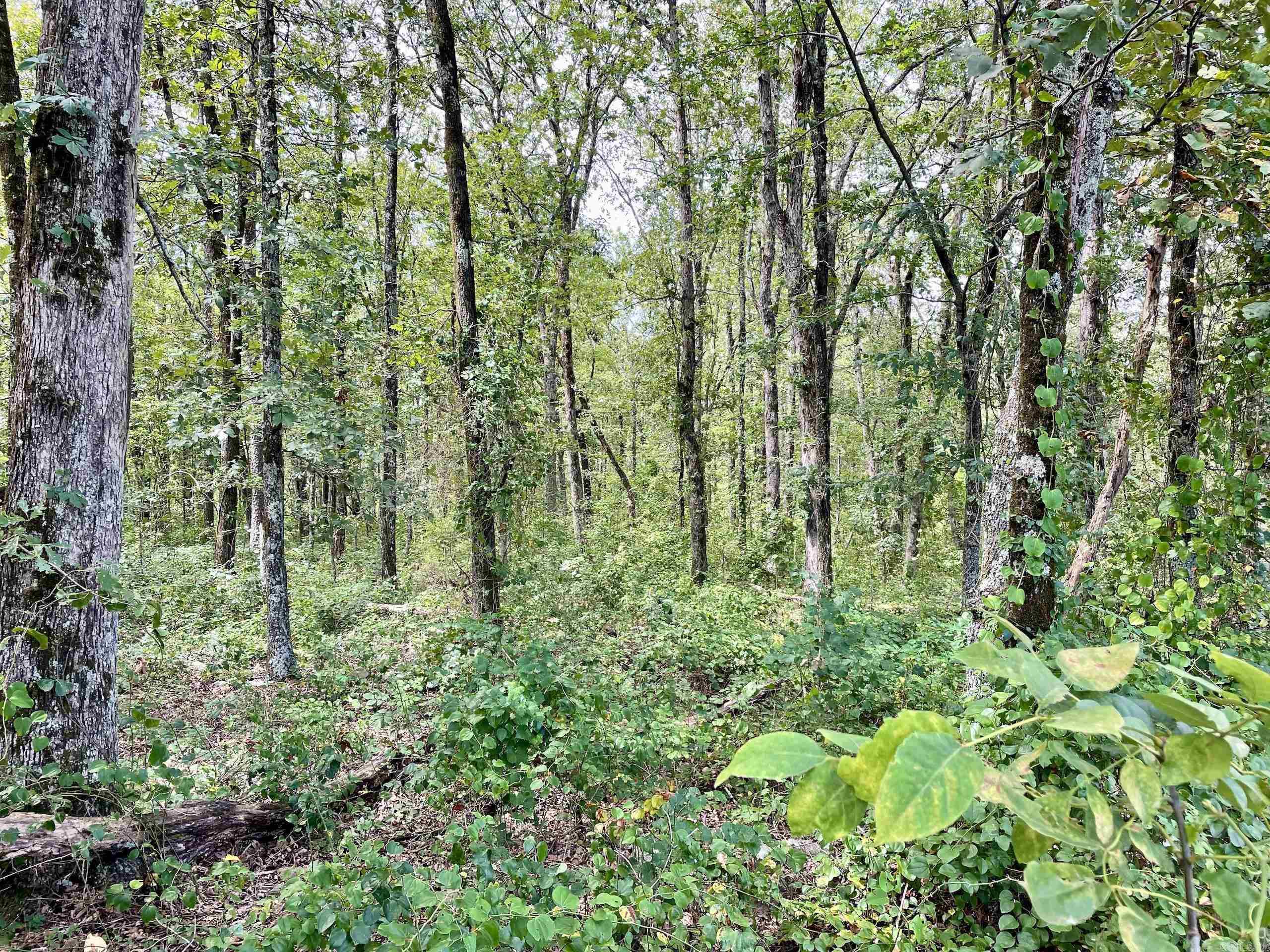 Not in Subdivision - Land