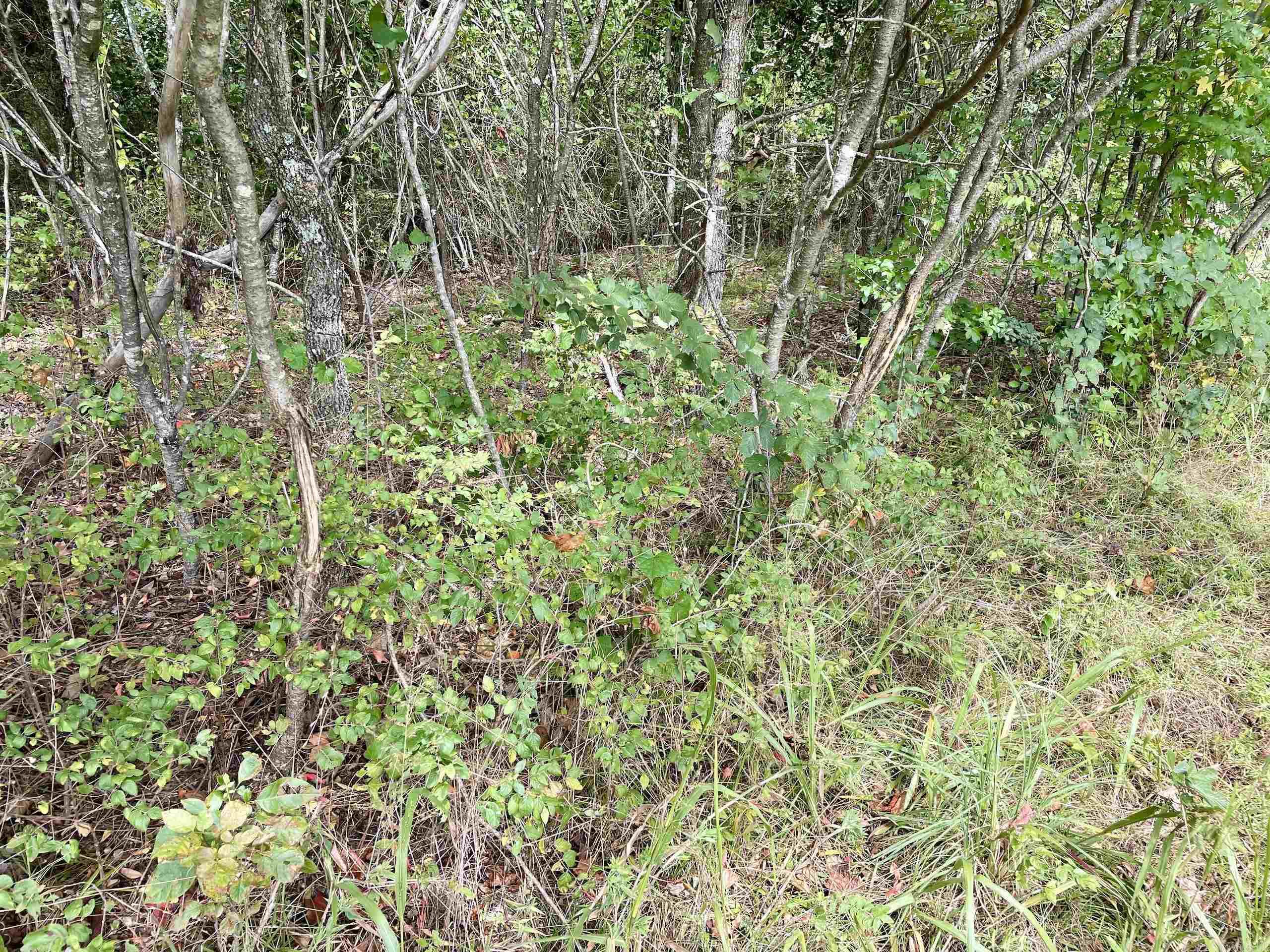 Not in Subdivision - Land