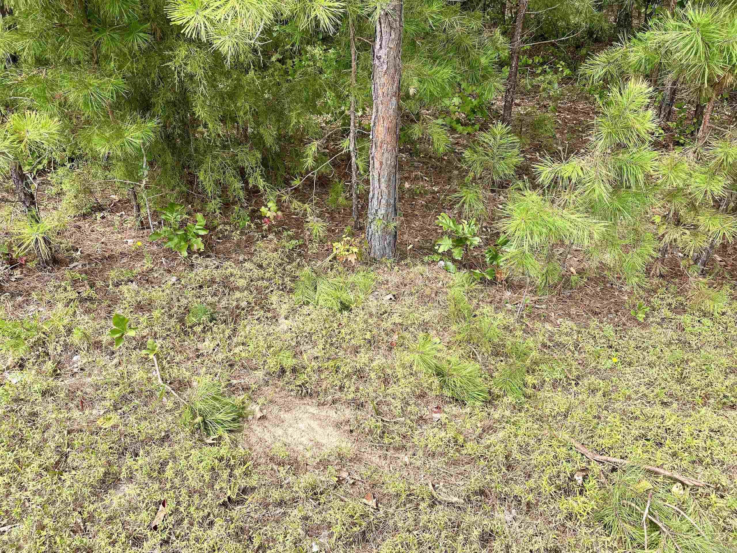 Not in Subdivision - Land