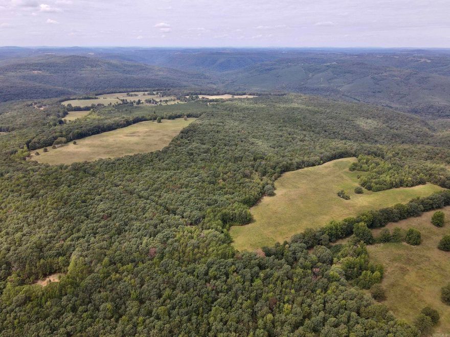 This old homestead is ready for a new owner! Located on a county road with electricity and several building sites to choose from you could build your forever home or family get a way cabin. There are approximately 50 ac. of beautiful pastures with good grass for grazing livestock or to cut and sell hay. The remaining acreage is very good timber and with large hardwood and pine timber that is home to abundant wildlife including deer, turkey, bear and a few hogs! The hunting here is way above average and with a little management could become as good as it gets in Central Arkansas. The entire property is gently sloping and accessible by a nice trail system that winds its way to various hunting stand locations. Property like this does not come along often and won't last long. Minerals owned by Seller convey.