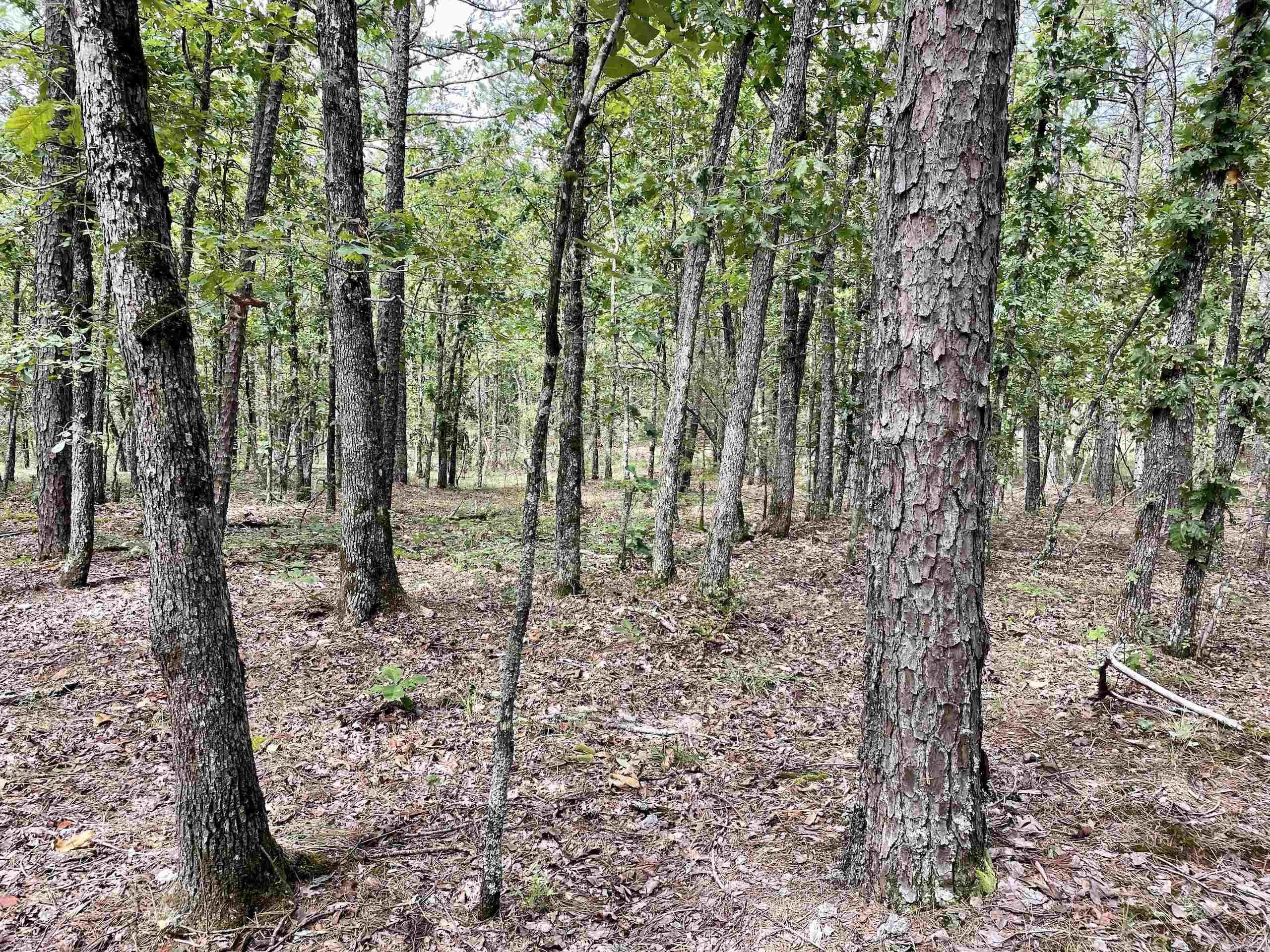 Not in Subdivision - Land