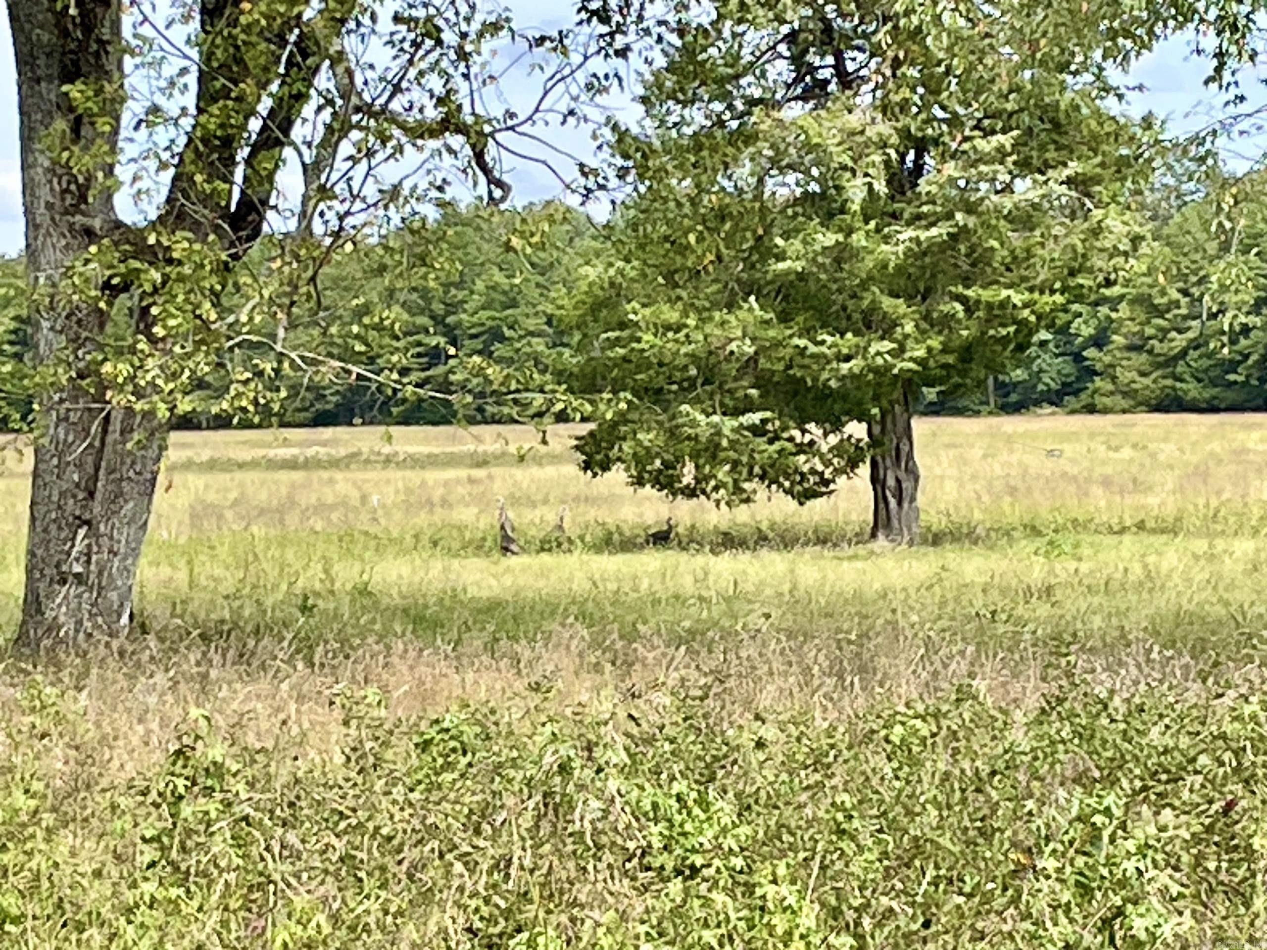 Not in Subdivision - Land