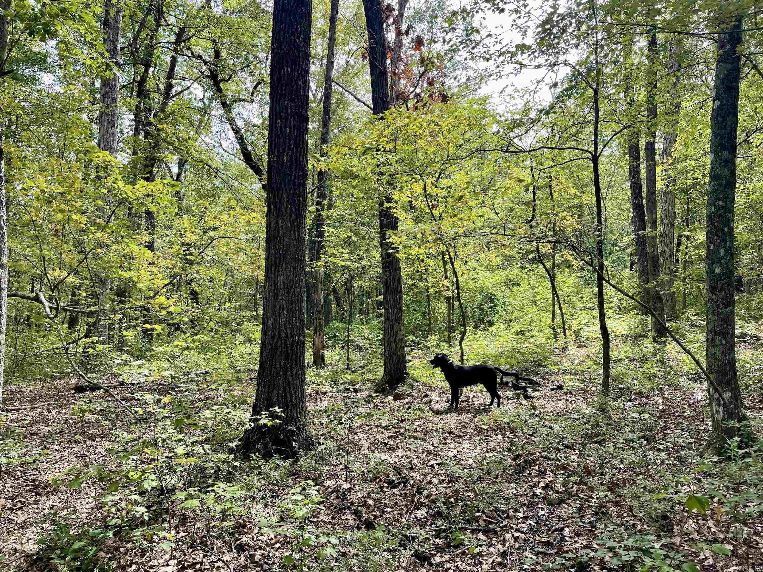 Not in Subdivision - Land