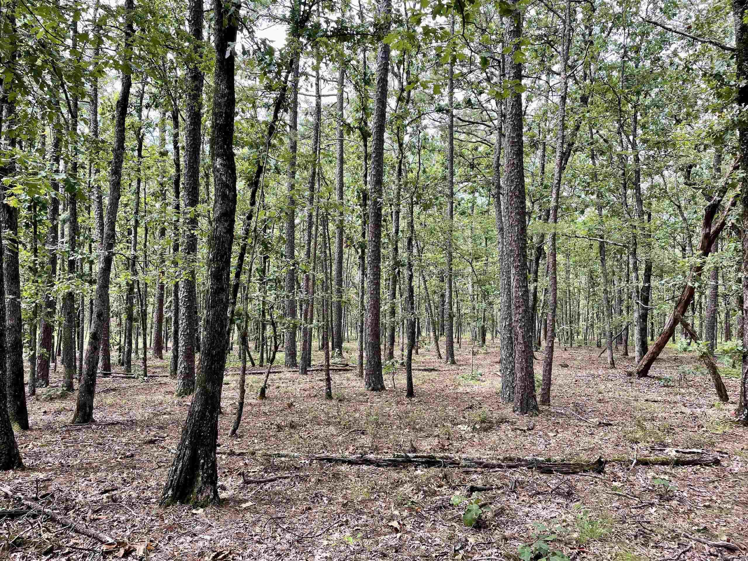 Not in Subdivision - Land