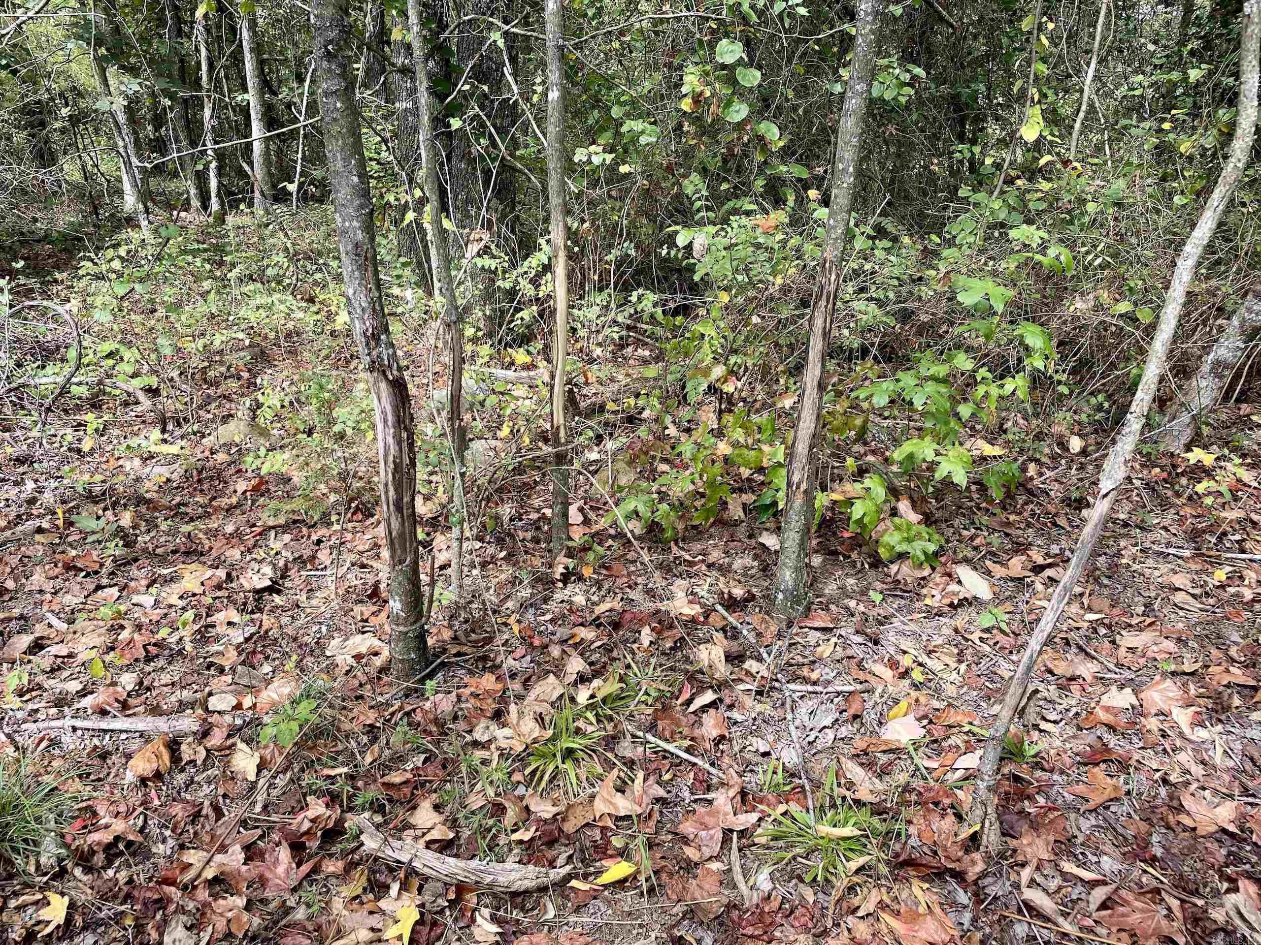 Not in Subdivision - Land