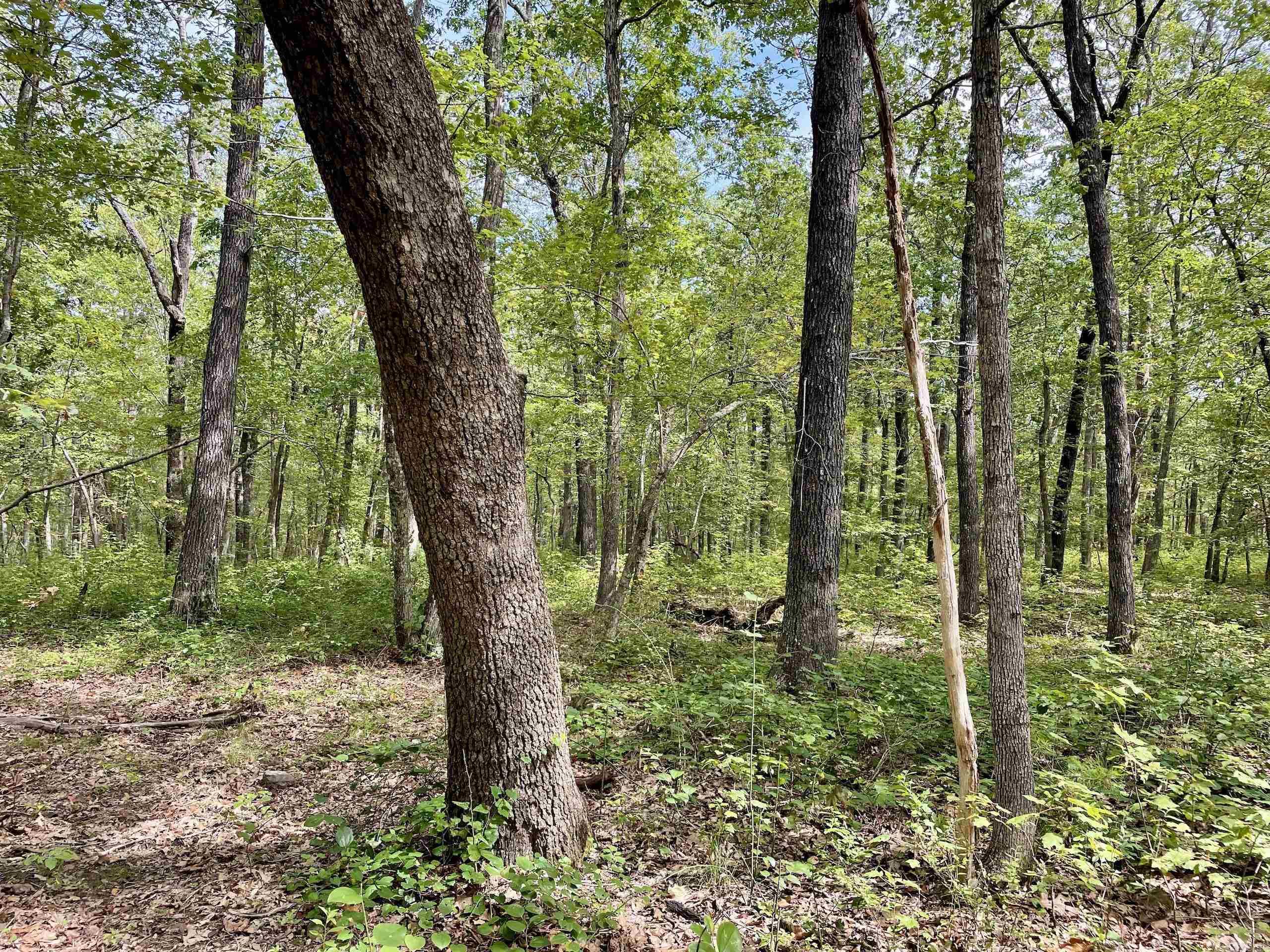 Not in Subdivision - Land