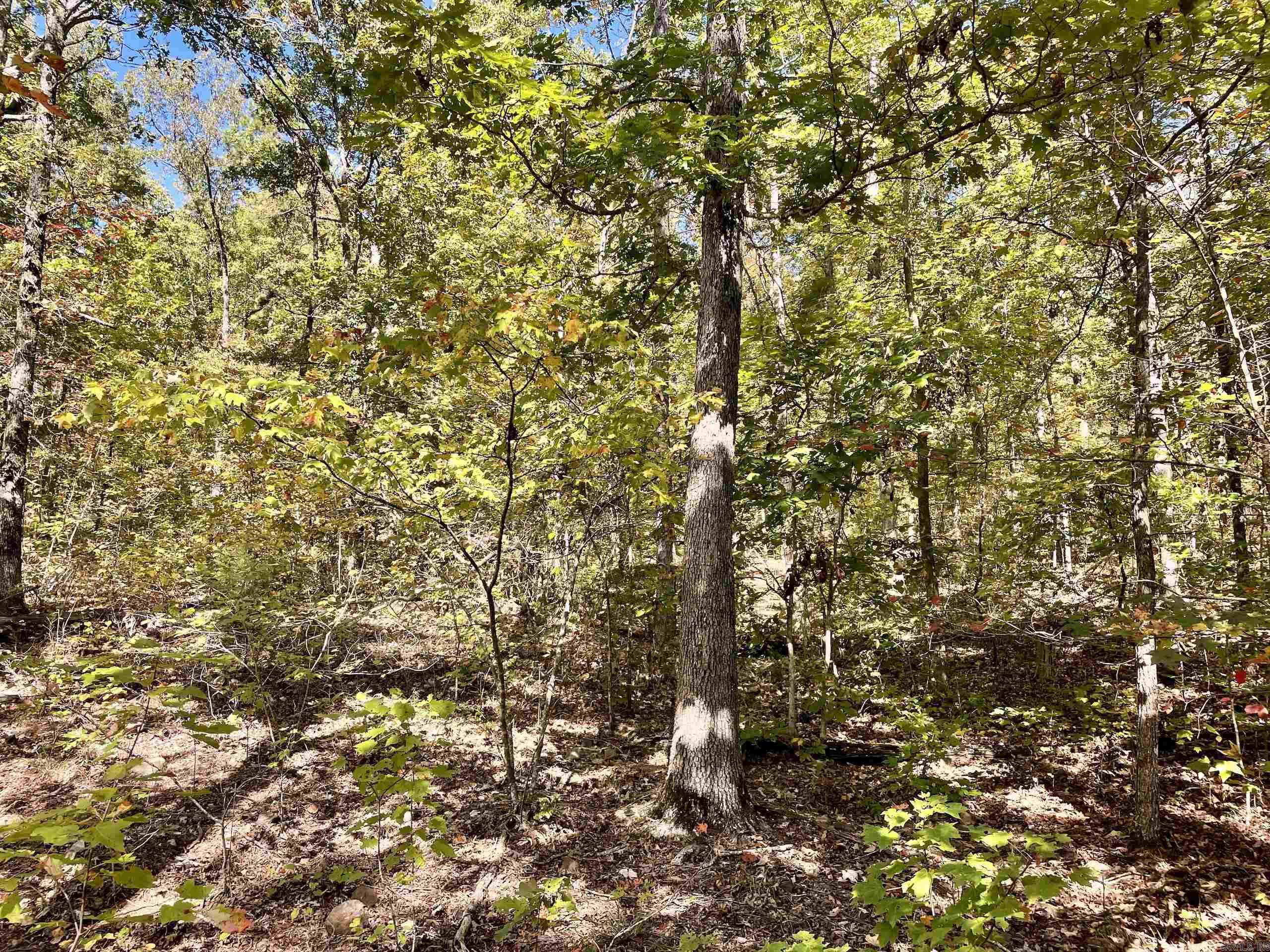 Not in Subdivision - Land