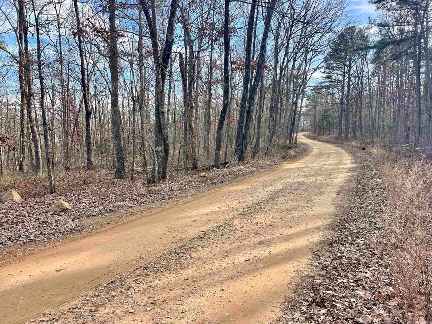 This exceptional recreational property captures everything buyers look for in an authentic Ozark Mountain land tract — privacy, natural beauty, wildlife habitat, and excellent access. Located on a well-maintained county road, the property offers convenient year-round entry while maintaining a secluded, off-the-beaten-path feel. An extensive internal road and trail system spans the property, providing easy access for hunting, trail riding, hiking, or exploring.  Near the entrance, an old homesite sits beside a peaceful pond, offering an ideal location for a cabin, hunting camp, or RV setup. Electricity is available along the county road and near the potential building area, providing convenient access for future improvements.  The timber is a healthy mix of mature oak and pine with pockets of younger growth that create diverse cover and forage. This combination supports abundant deer, turkey, and black bear. Established stand locations offer strategic access and strong visibility.  Beyond its hunting appeal, the property showcases striking Ozark rock formations, dramatic overhangs, massive rock shelters, and a scenic creek flowing through the land. Multiple potential building sites,