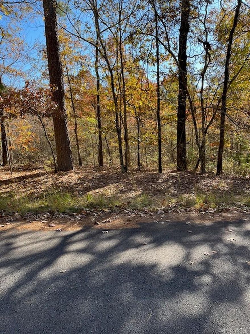 Nice sized lot amidst Hot Springs Village, Arkansas. Gentle downslope backing up to common property and lots of privacy... this land is centrally located in the Ponce de Leon golf course area.